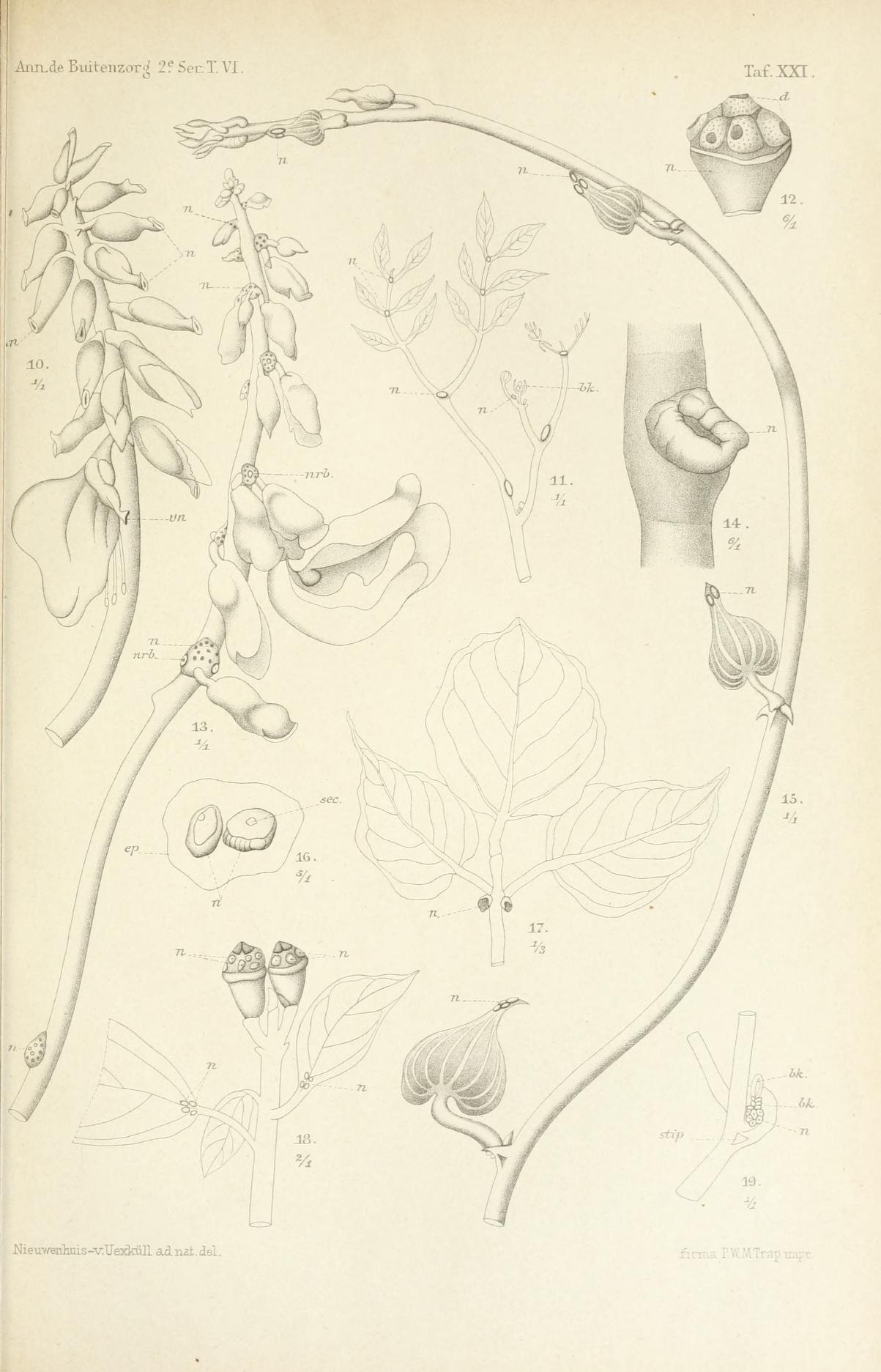 no full size  illustration available (3a)