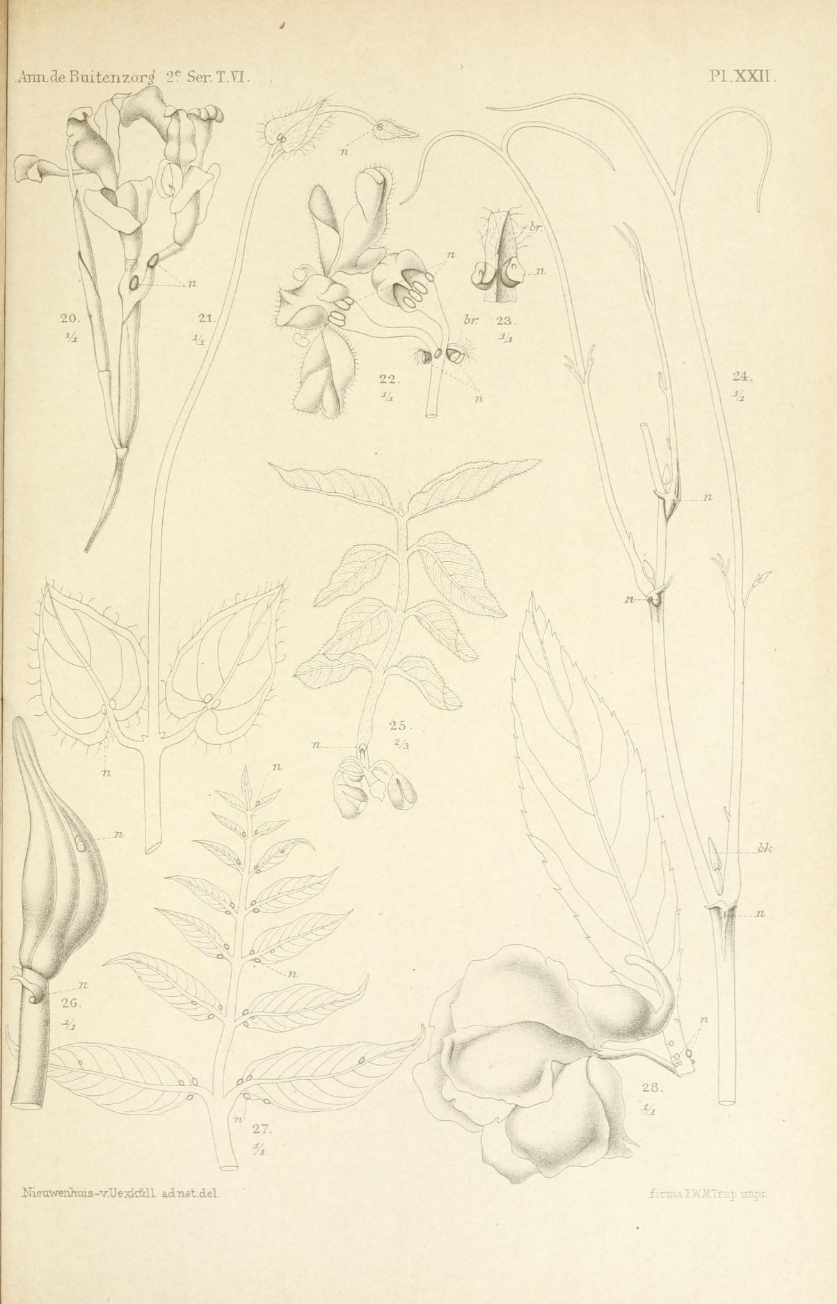 no full size  illustration available (3a)