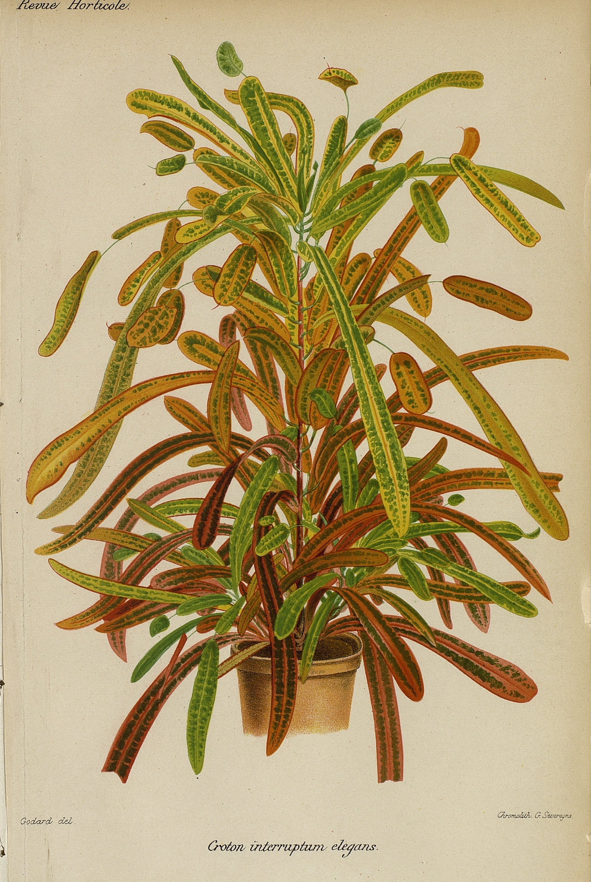 no full size  illustration available (3a)