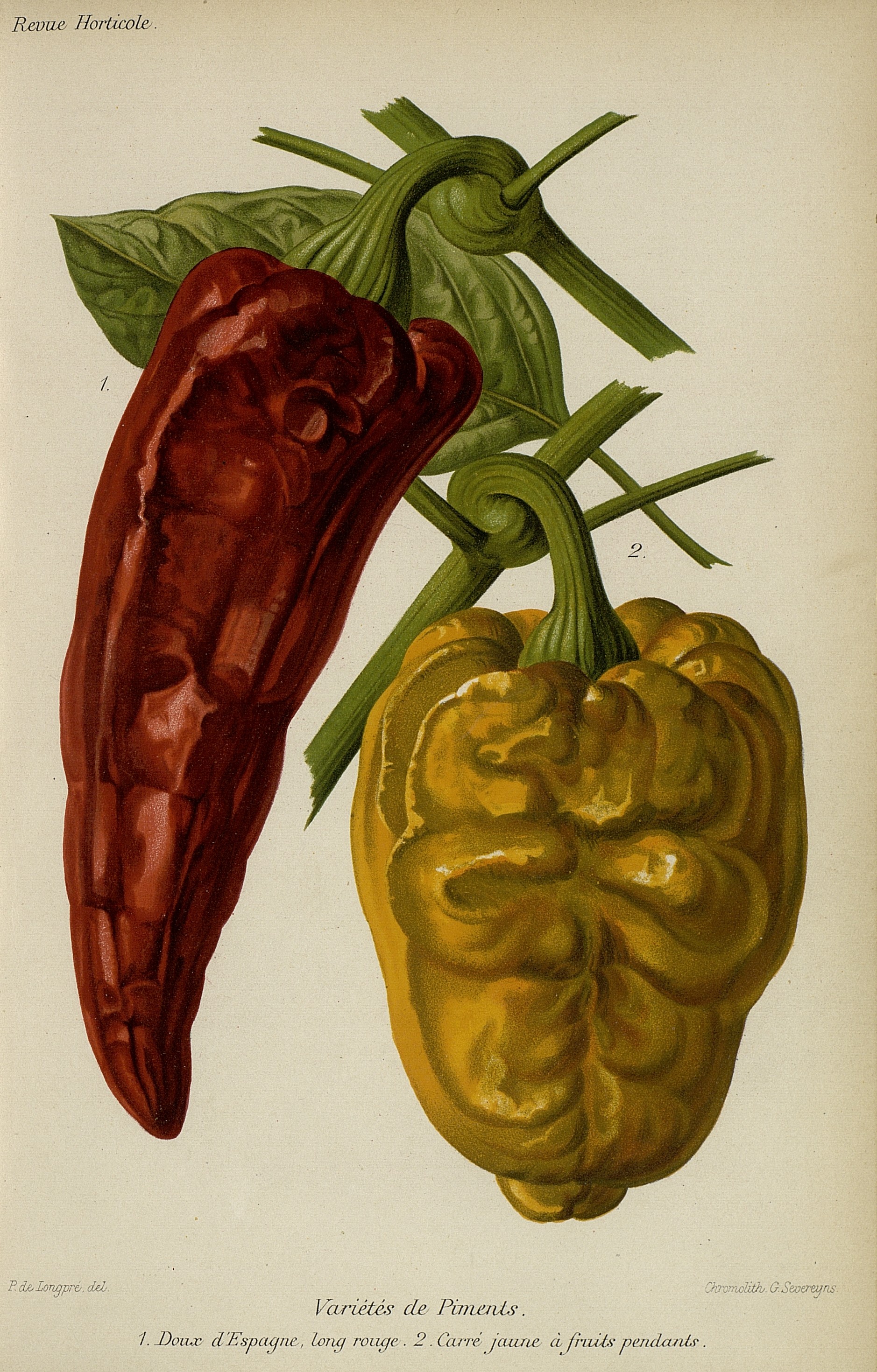 no full size  illustration available (3a)