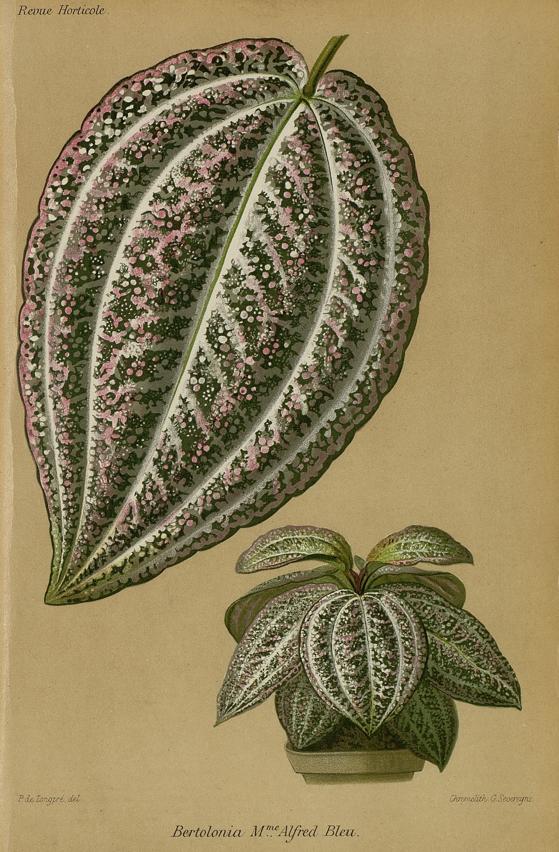 no full size  illustration available (3a)