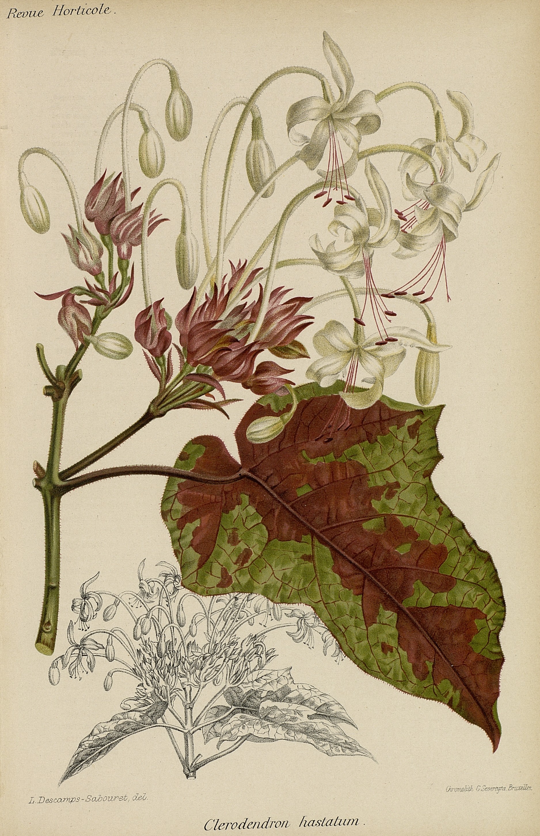 no full size  illustration available (3a)