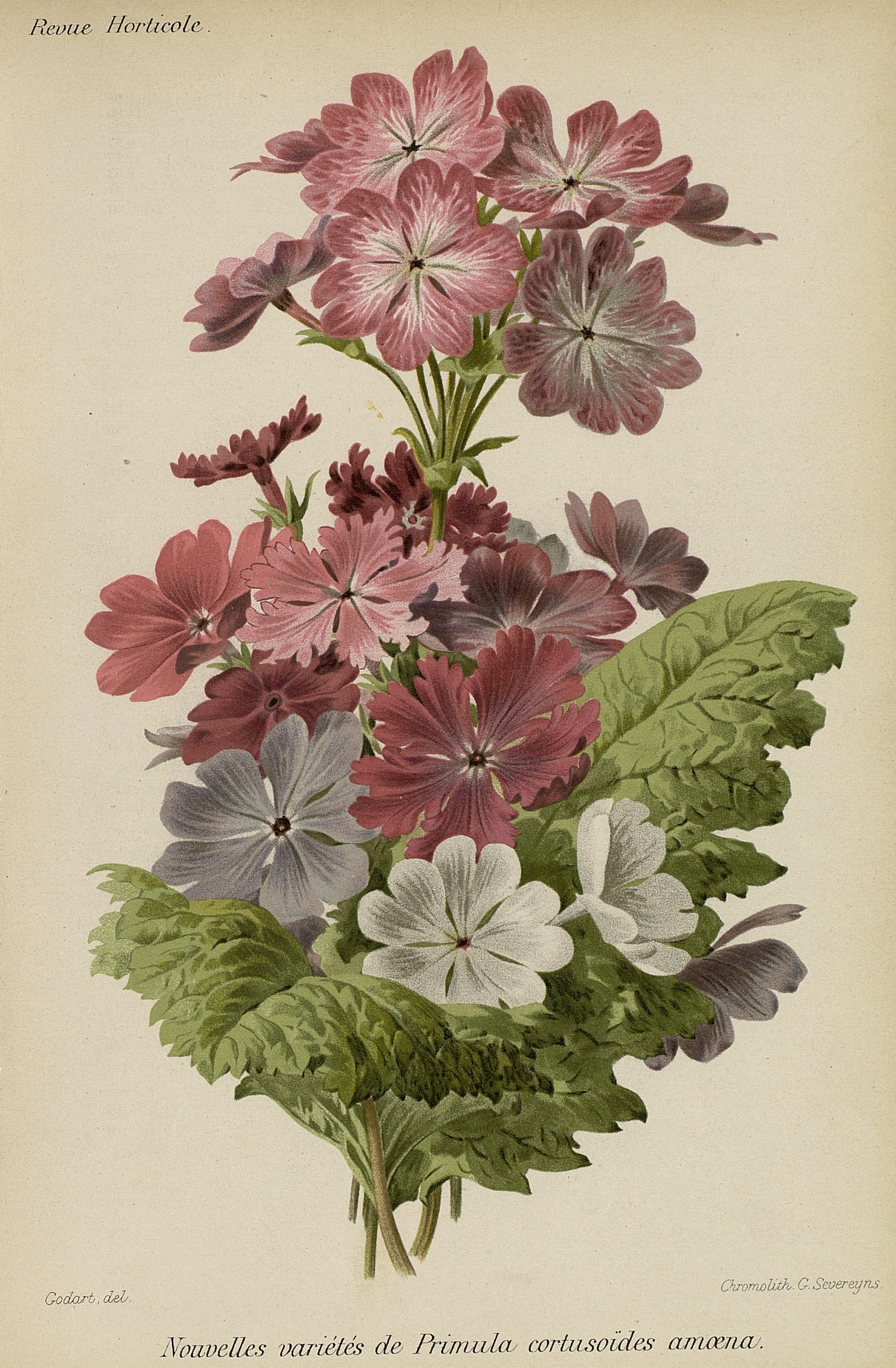 no full size  illustration available (3a)