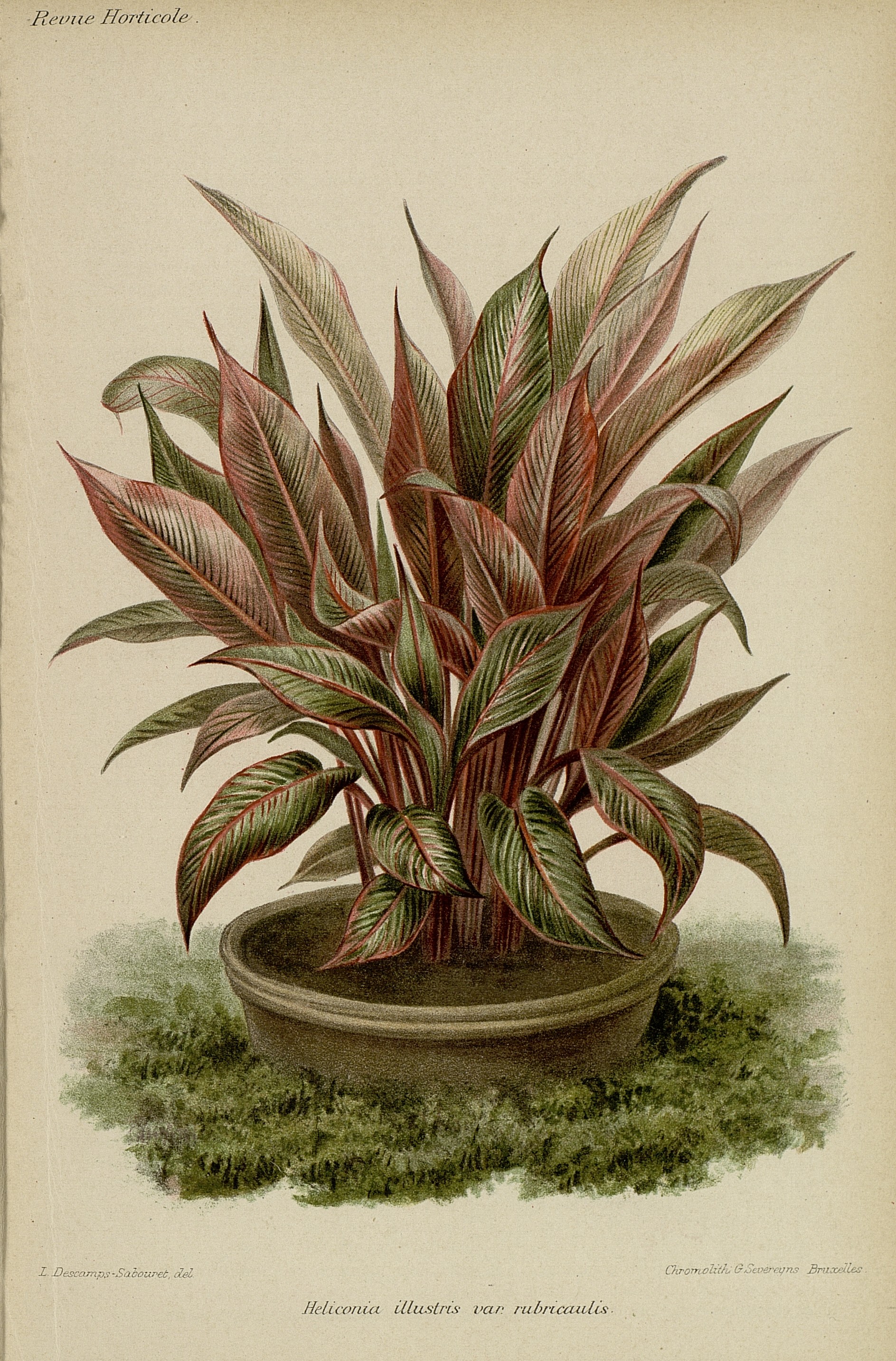 no full size  illustration available (3a)