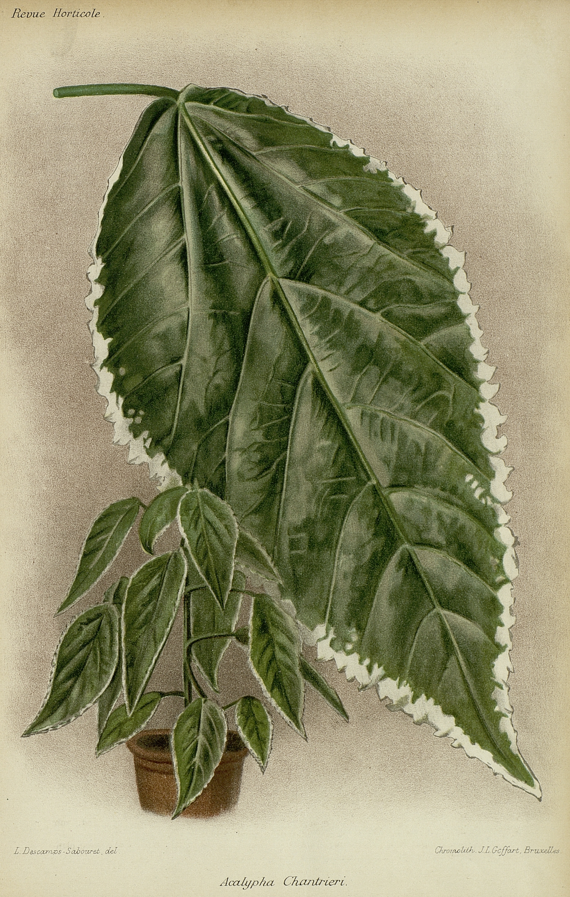 no full size  illustration available (3a)