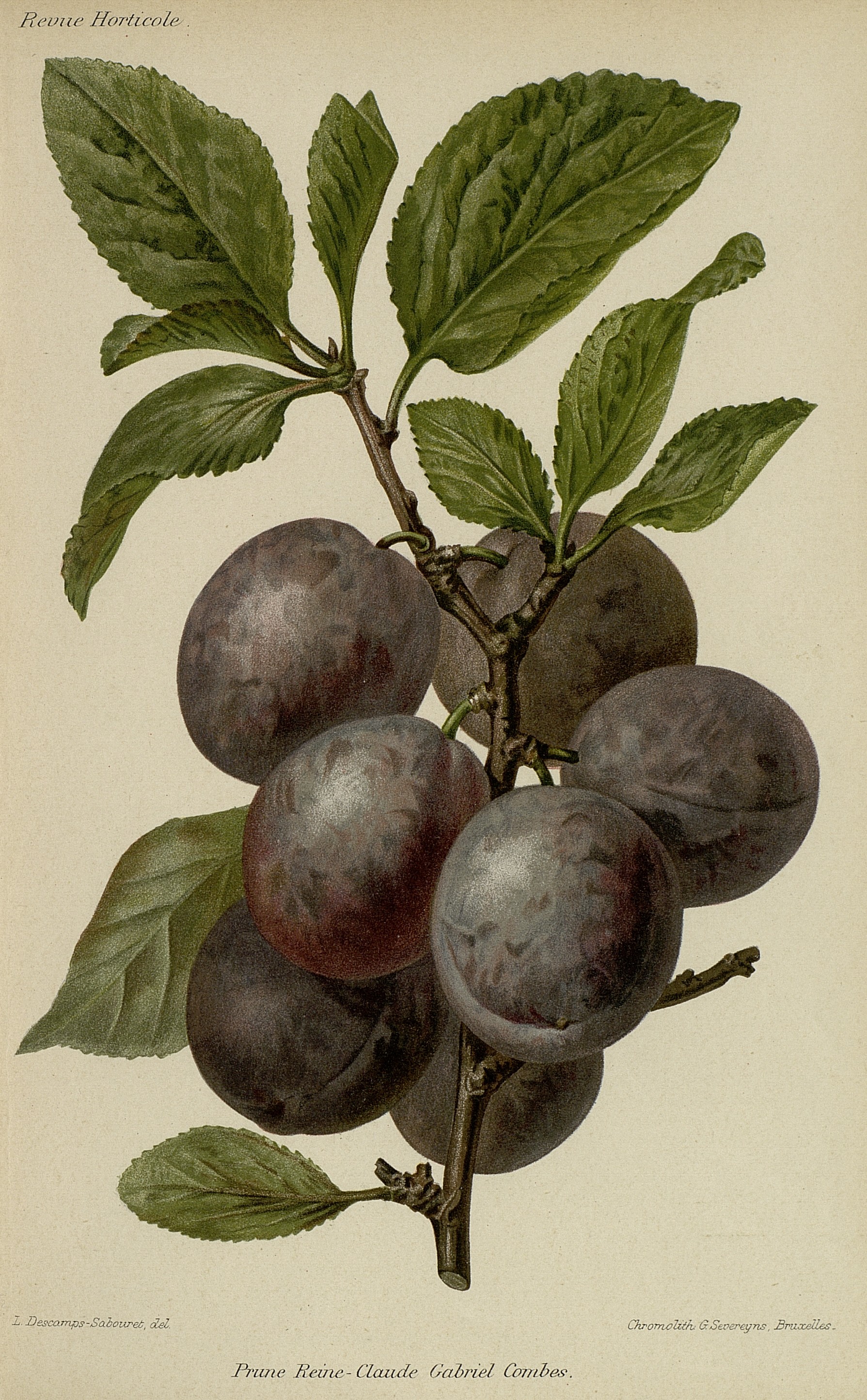 no full size  illustration available (3a)