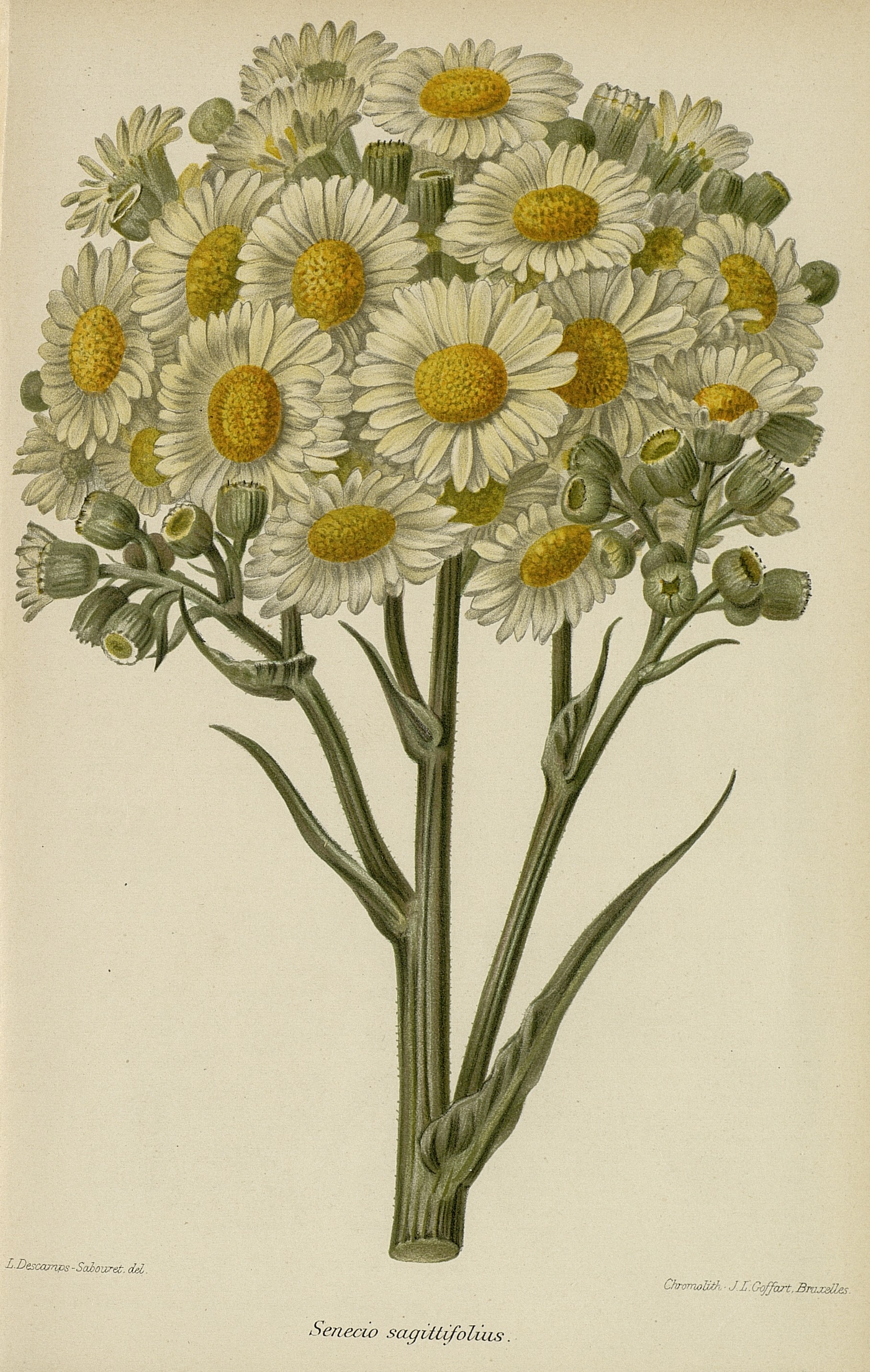 no full size  illustration available (3a)