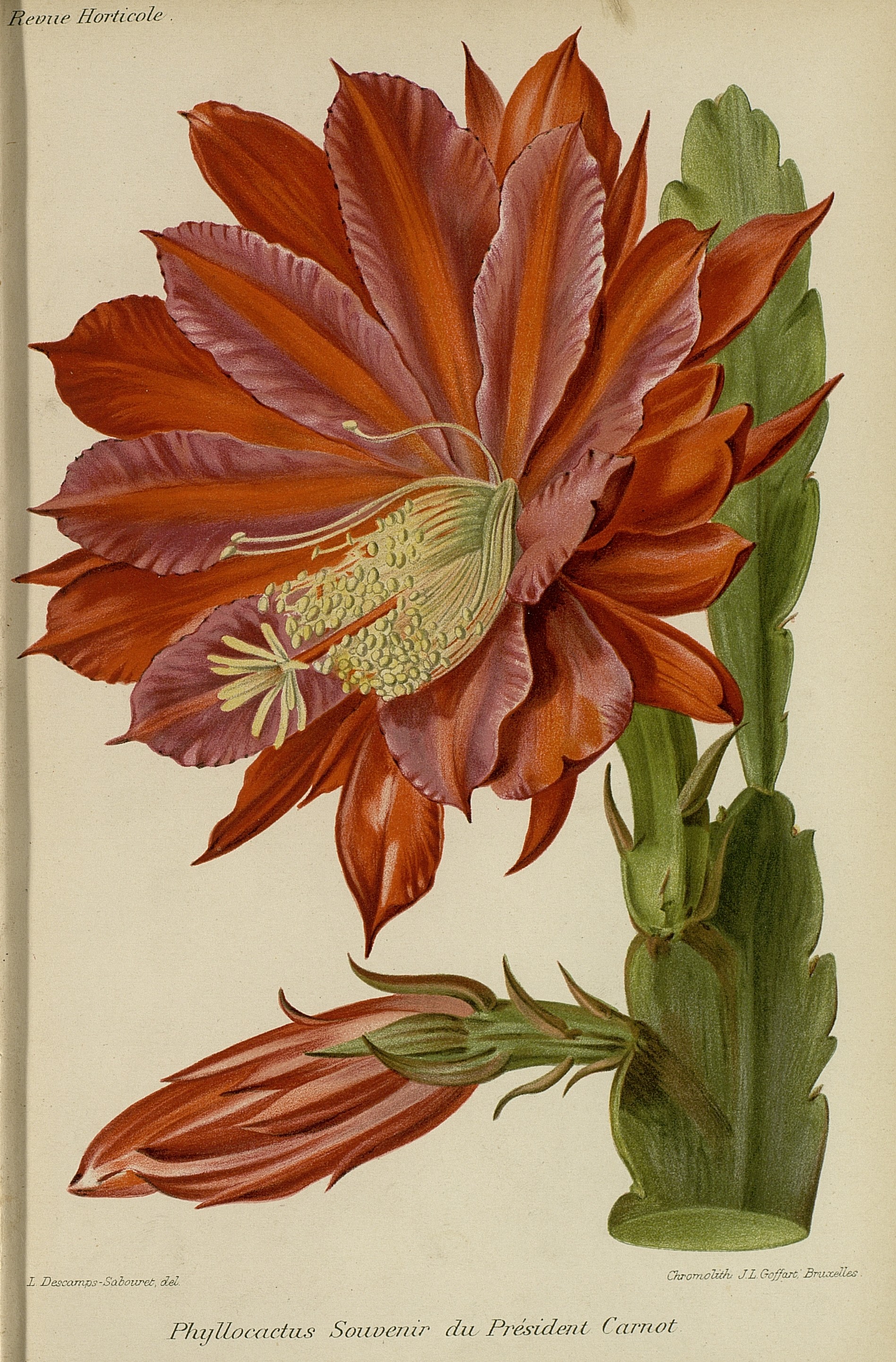 no full size  illustration available (3a)