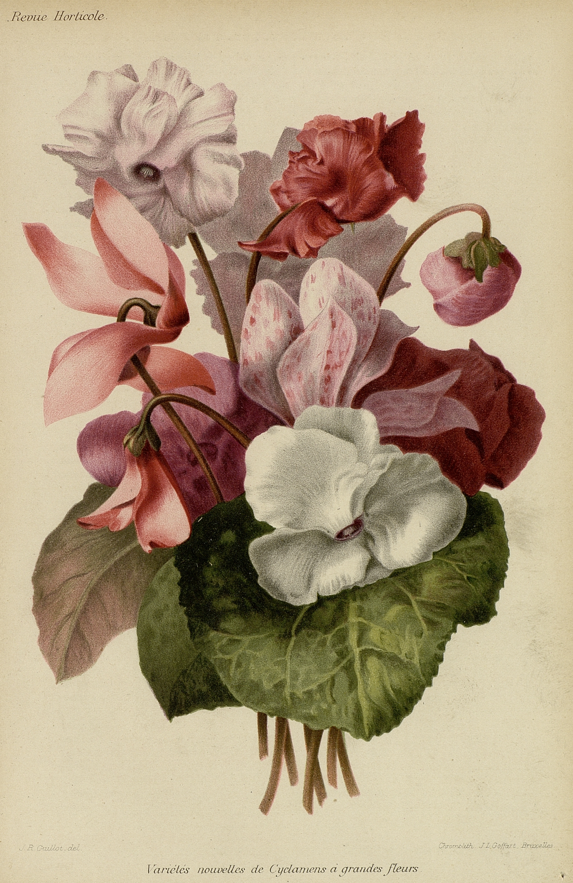 no full size  illustration available (3a)