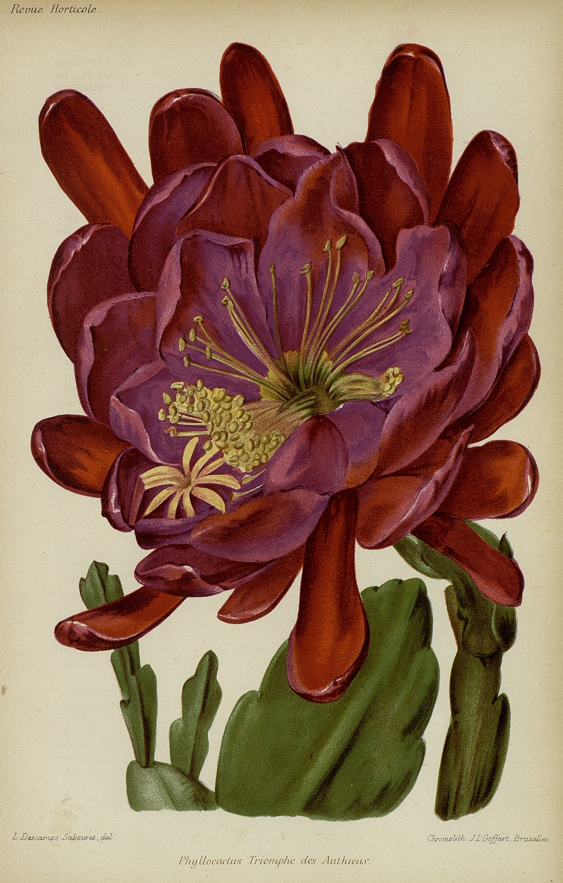 no full size  illustration available (3a)