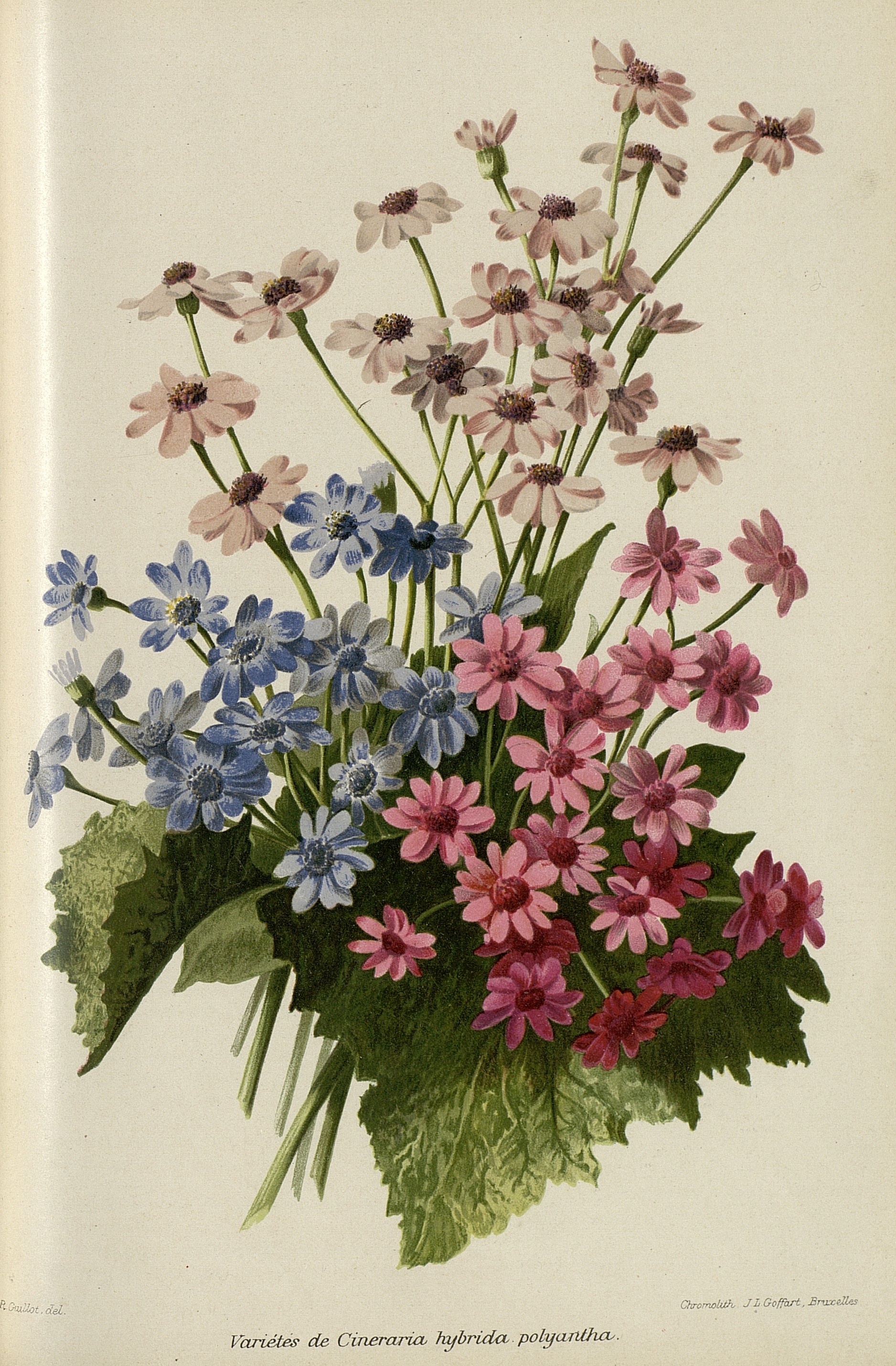 no full size  illustration available (3a)