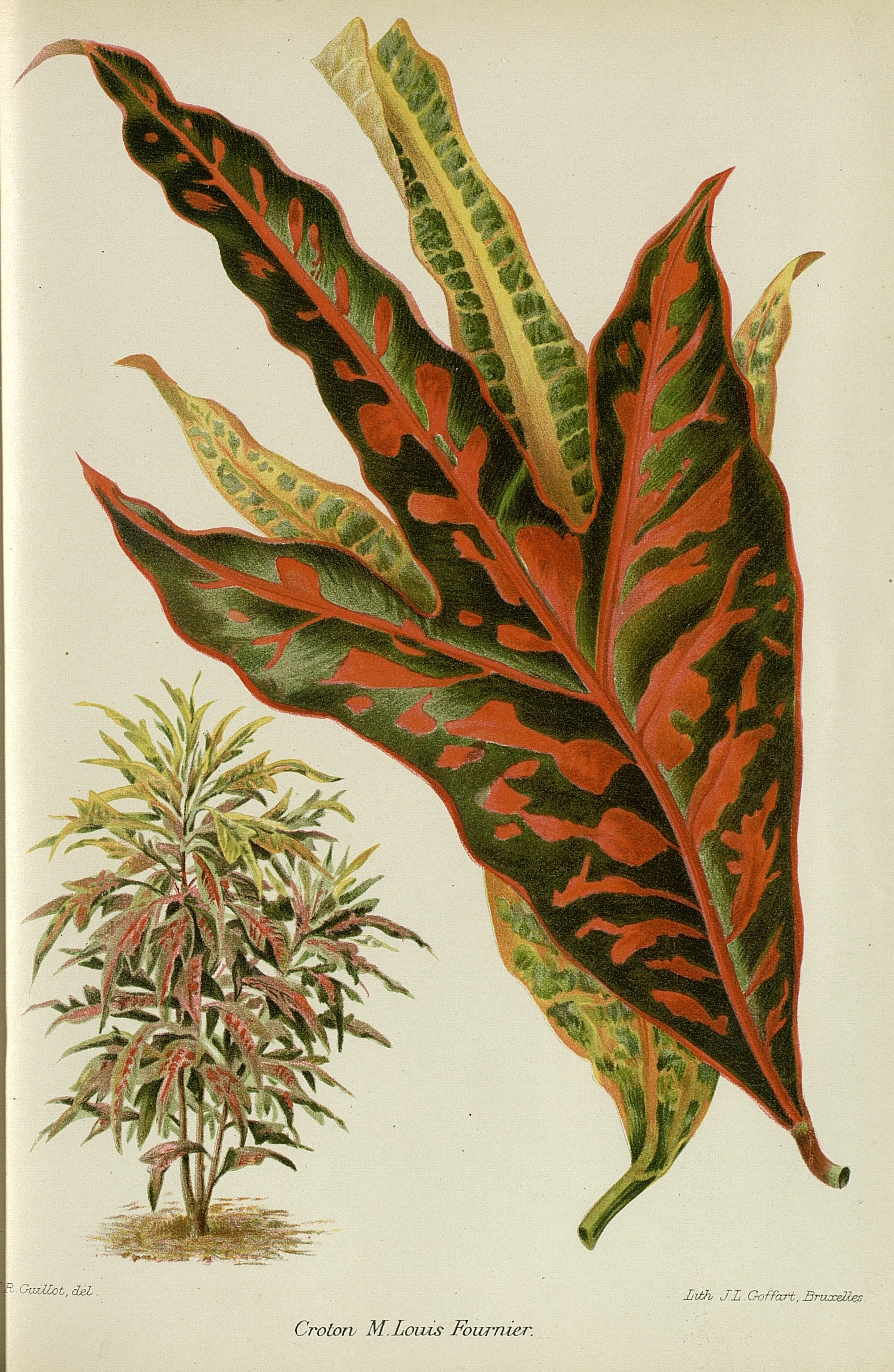 no full size  illustration available (3a)