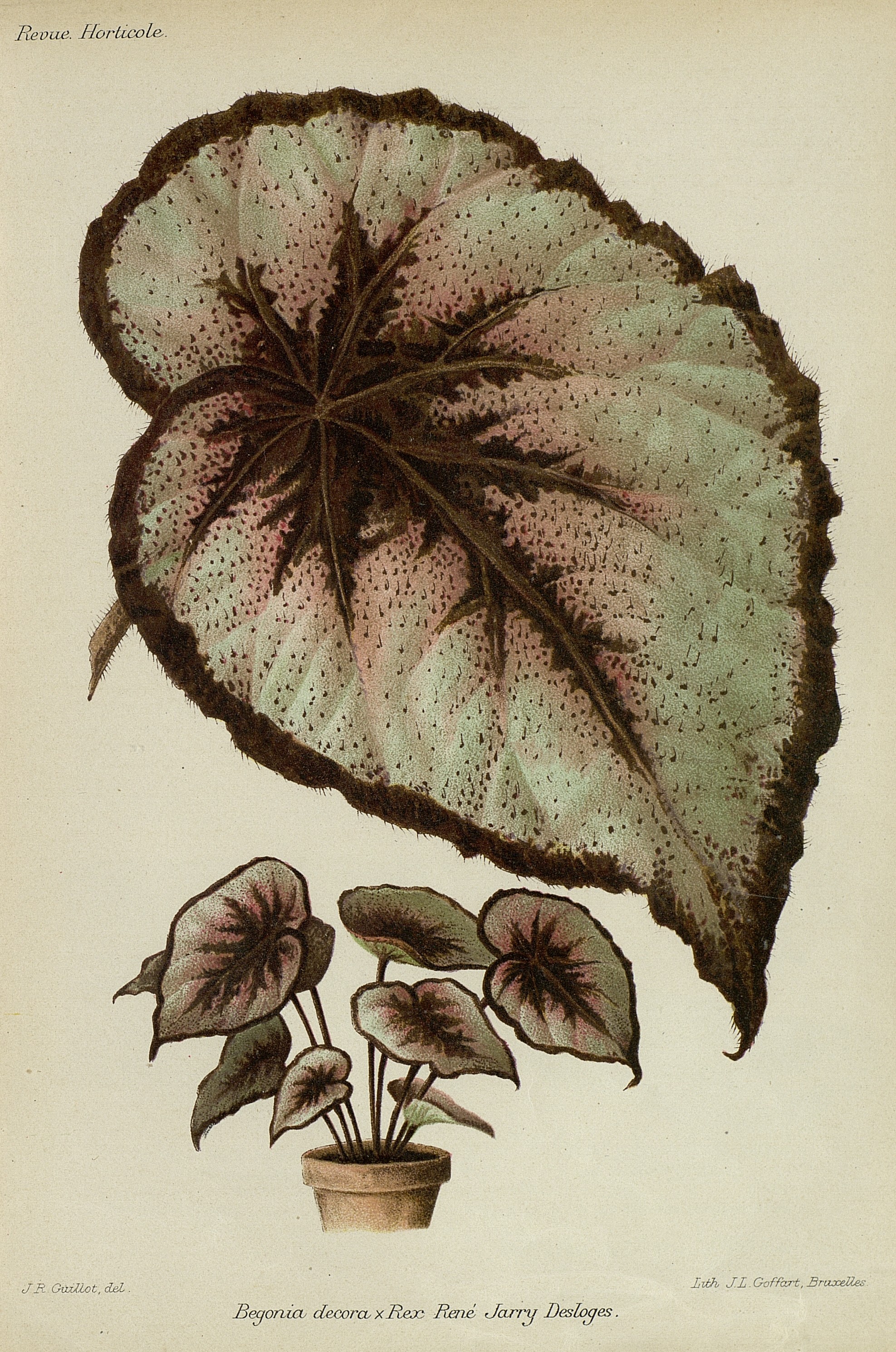 no full size  illustration available (3a)