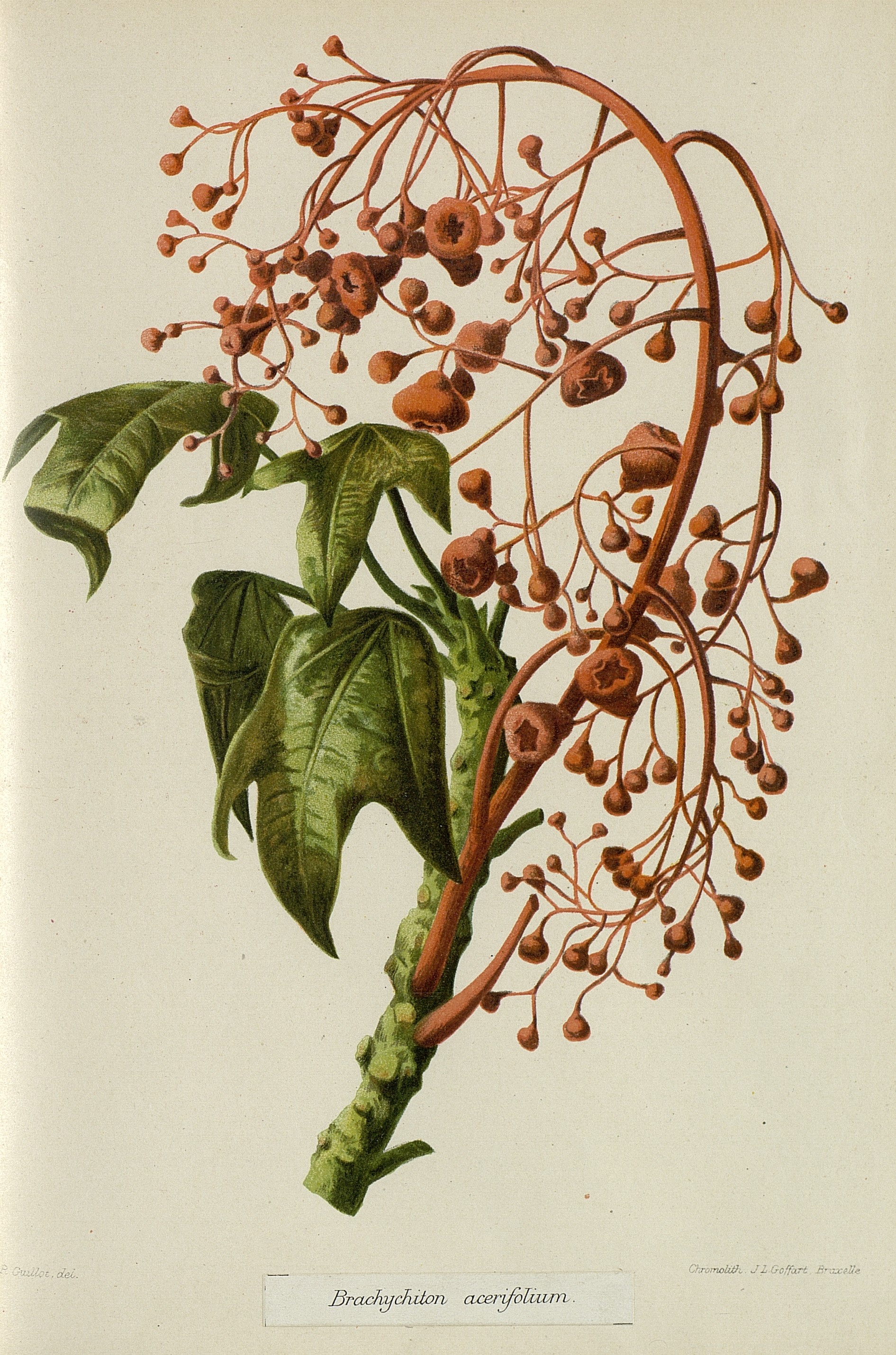 no full size  illustration available (3a)