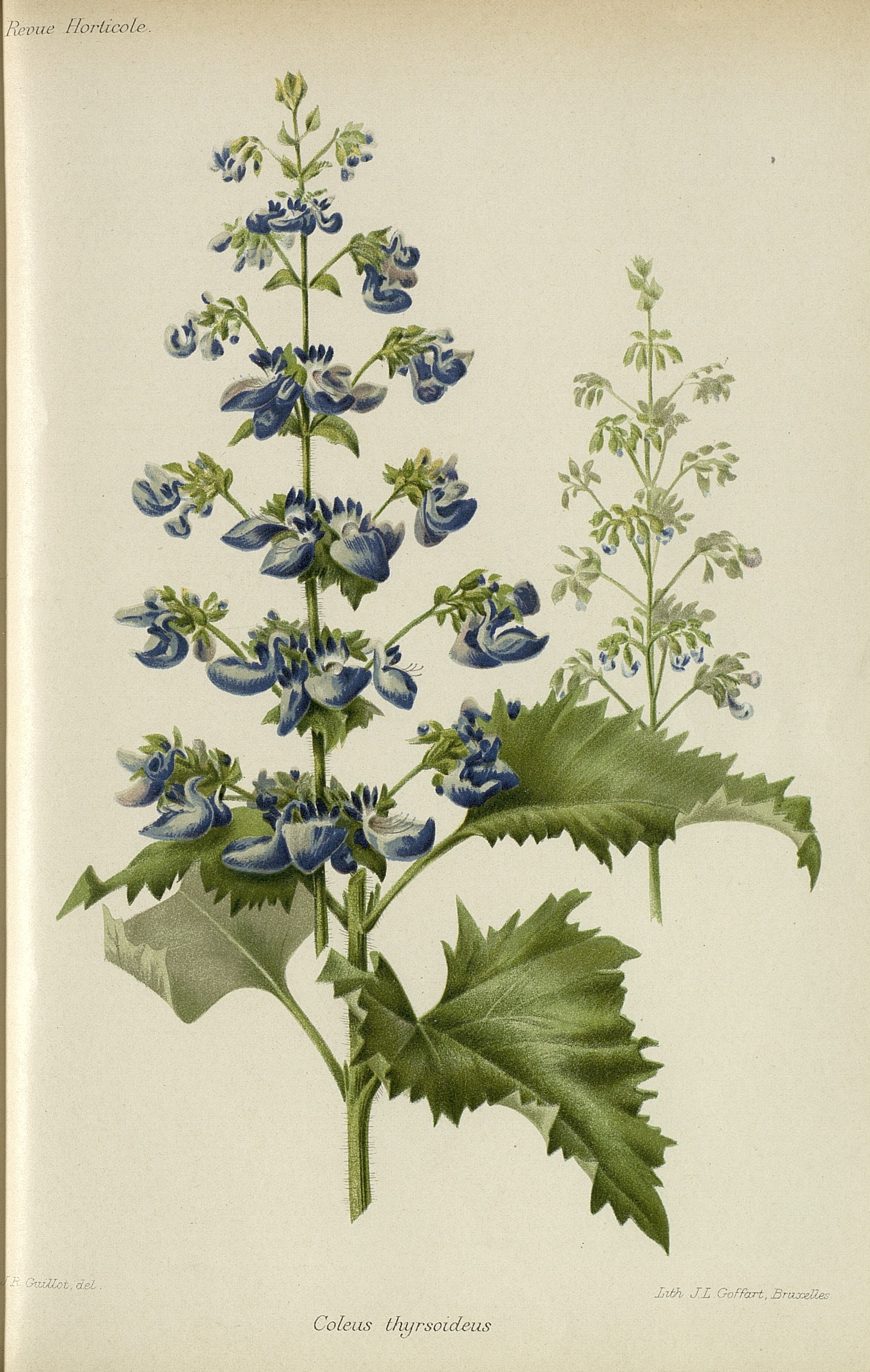 no full size  illustration available (3a)