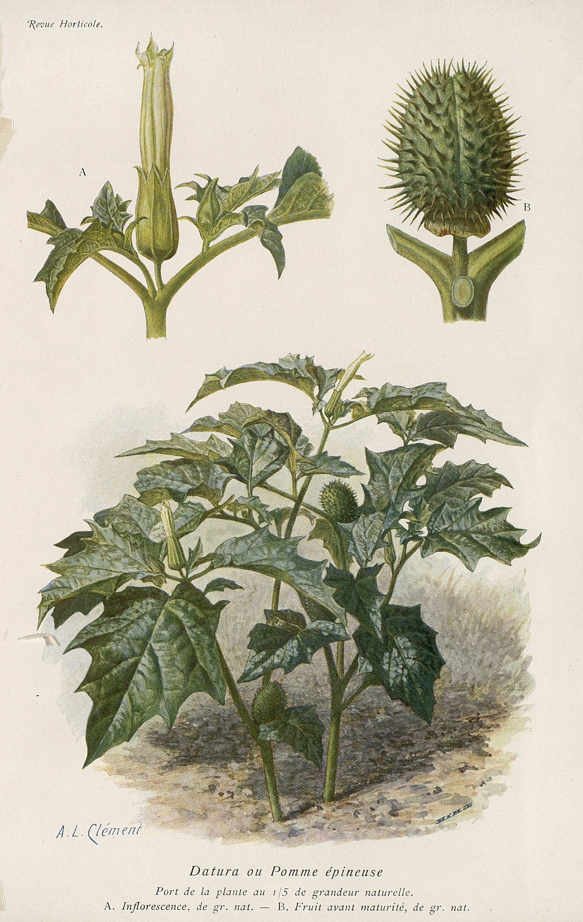 no full size  illustration available (3a)