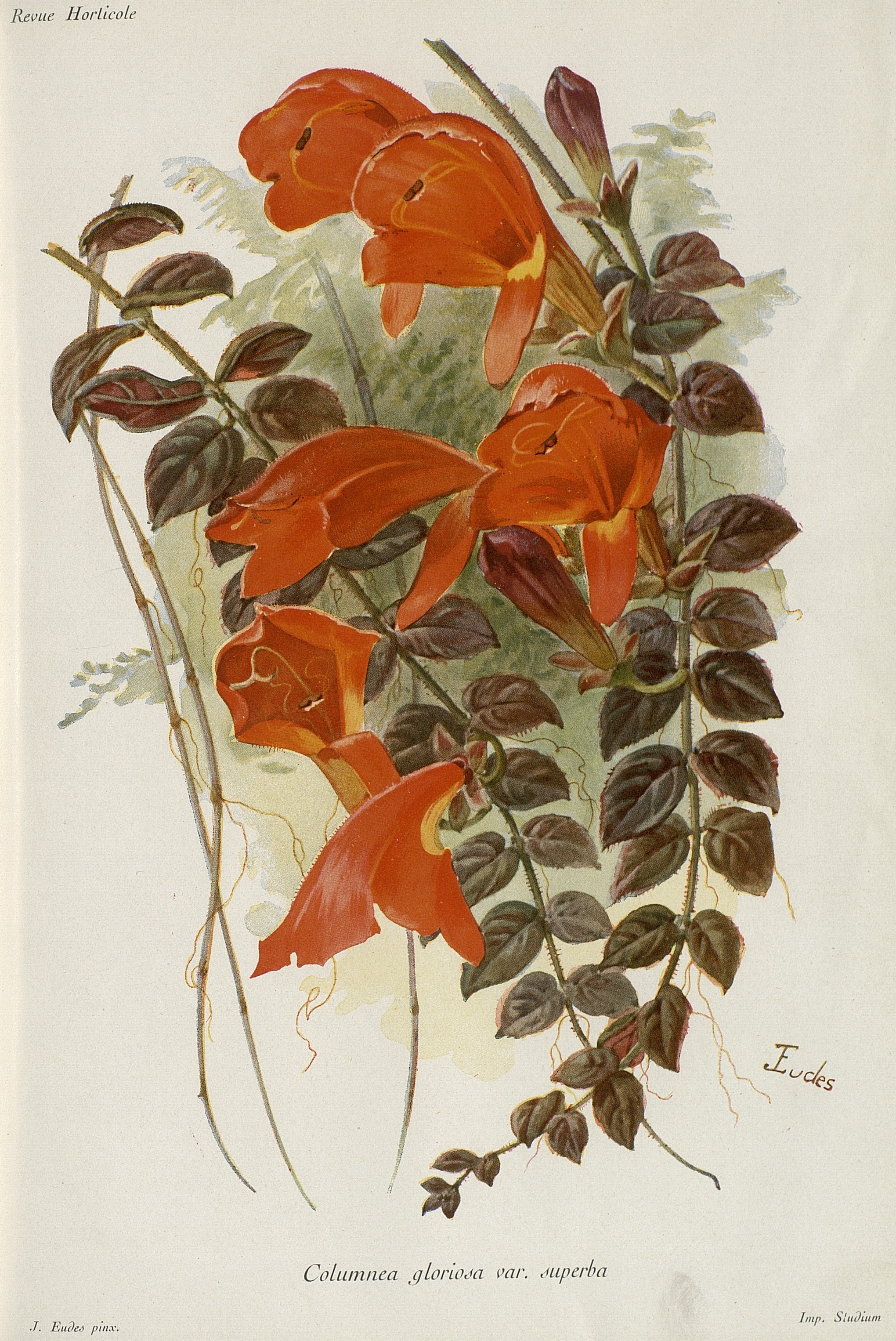 no full size  illustration available (3a)