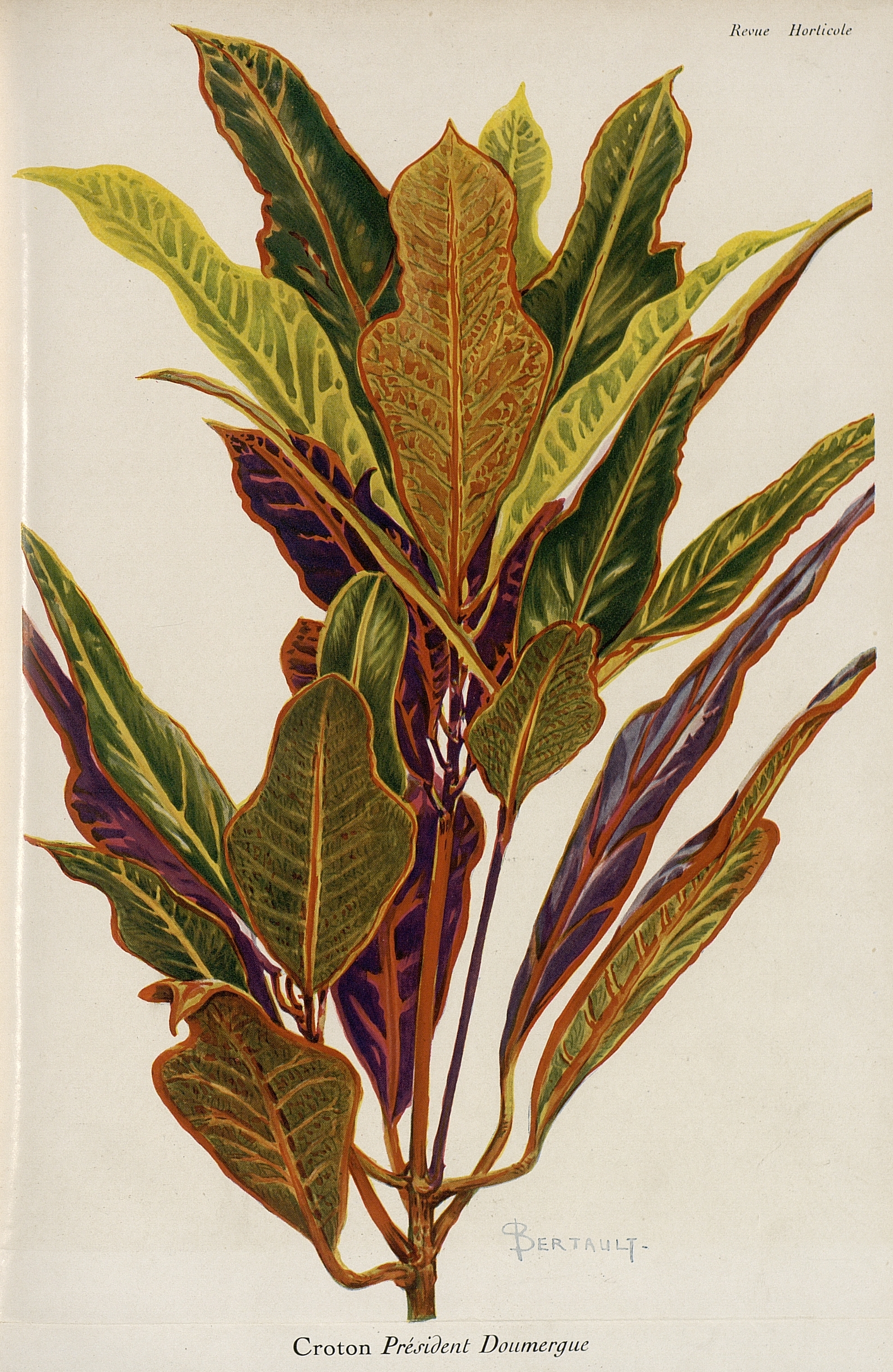 no full size  illustration available (3a)