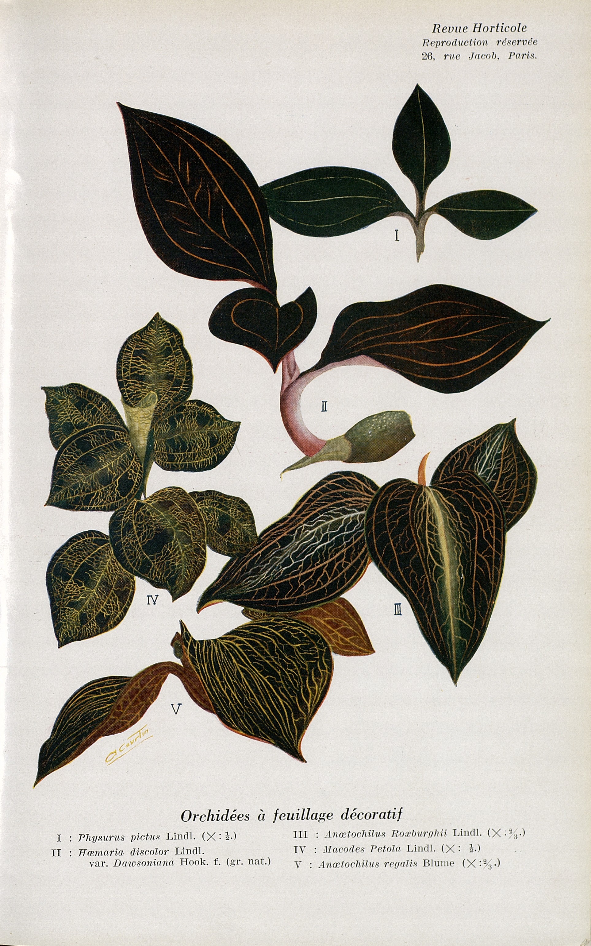 no full size  illustration available (3a)