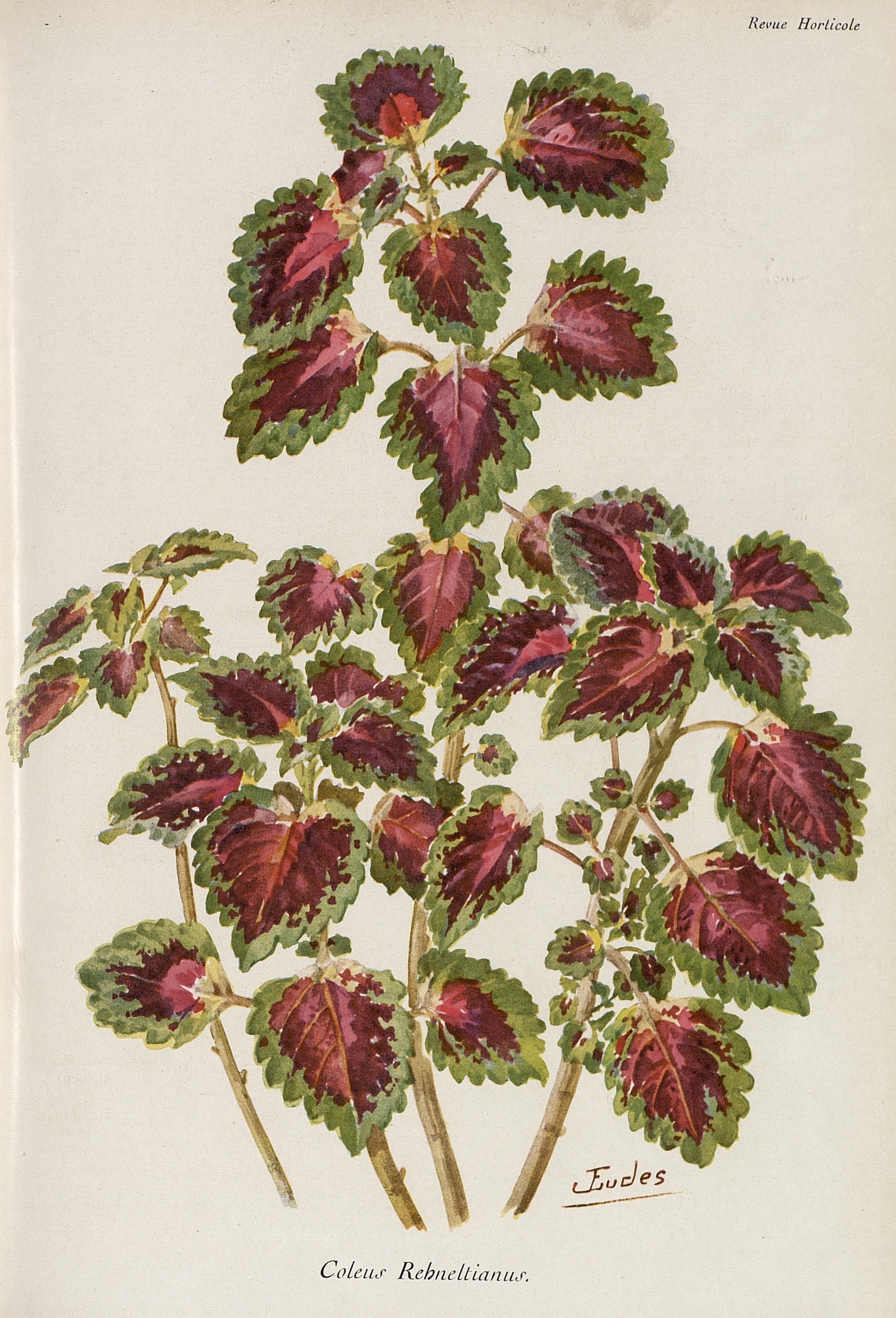 no full size  illustration available (3a)