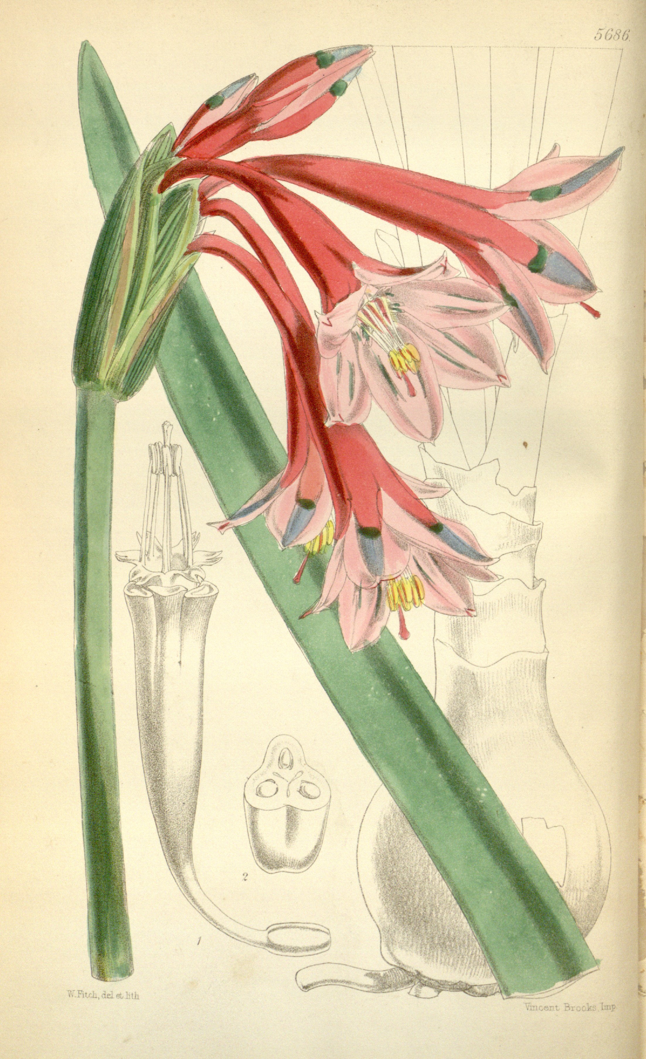 no full size  illustration available (3a)