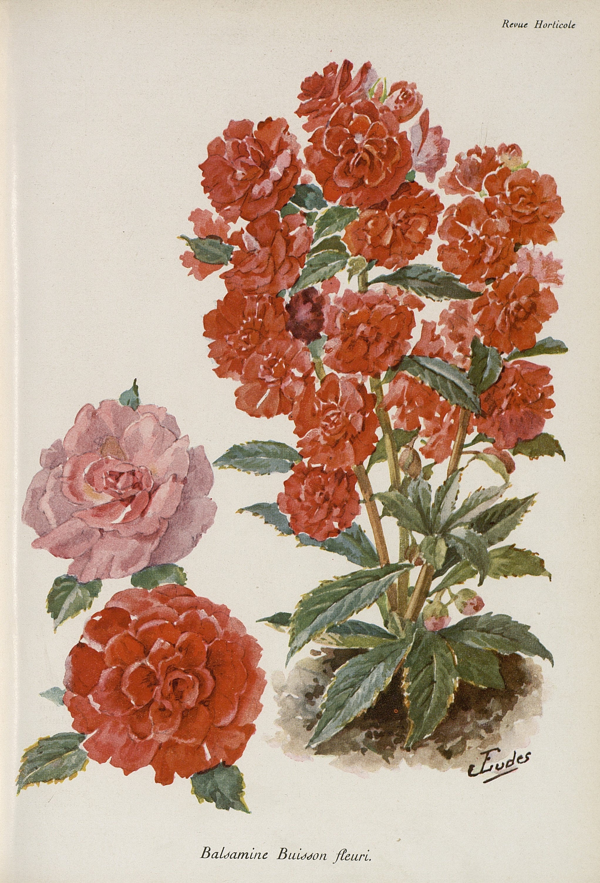 no full size  illustration available (3a)