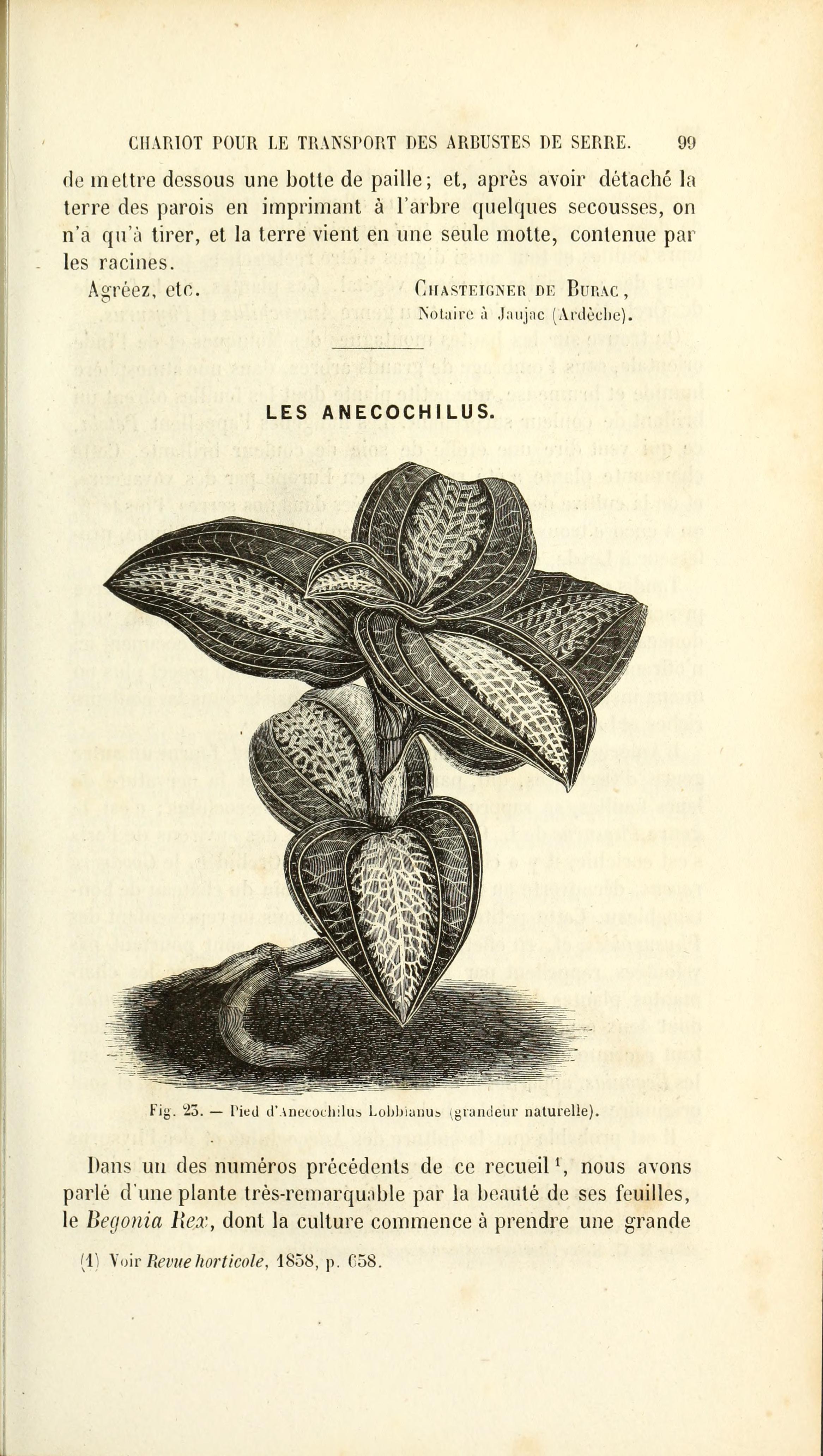 no full size  illustration available (3a)