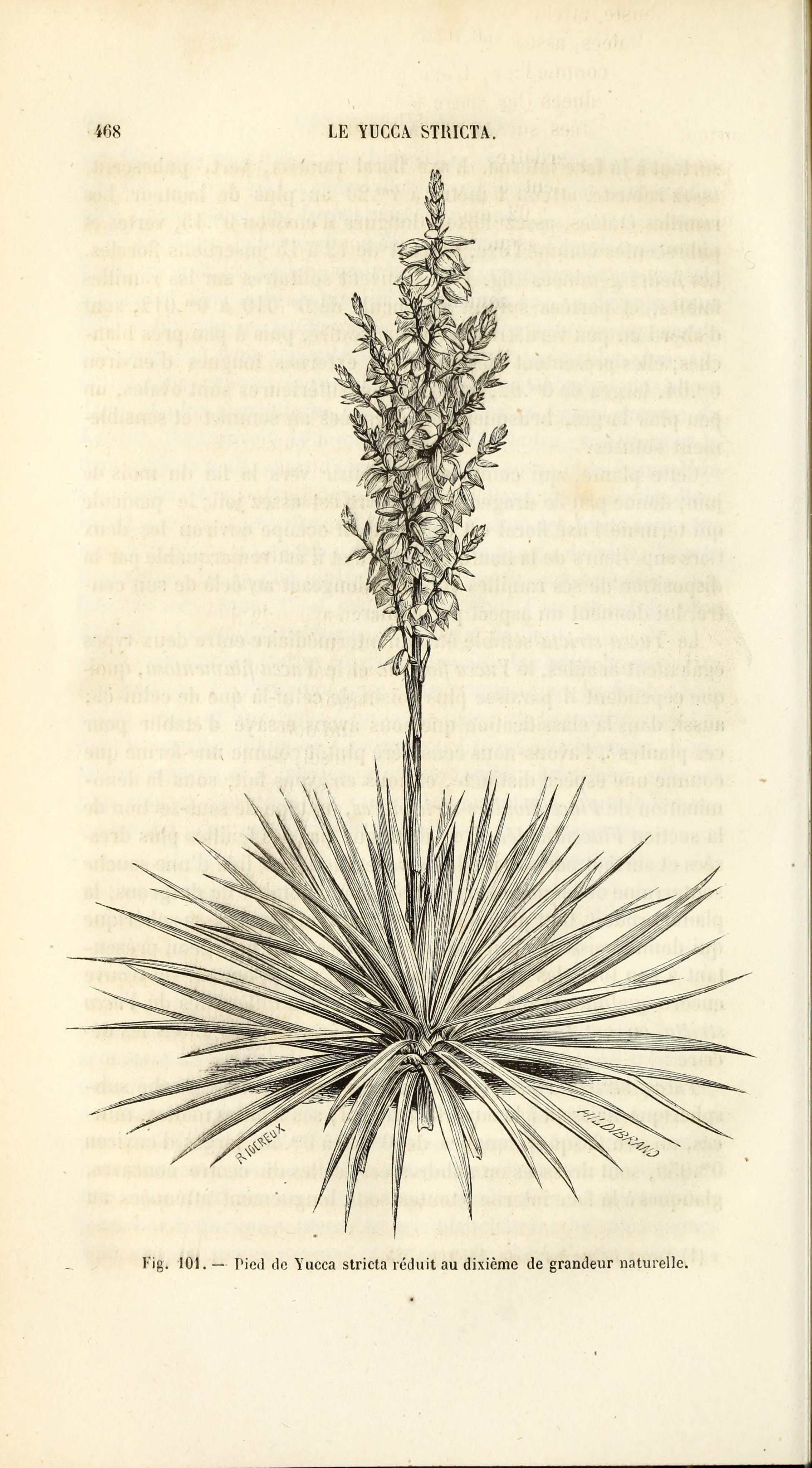 no full size  illustration available (3a)