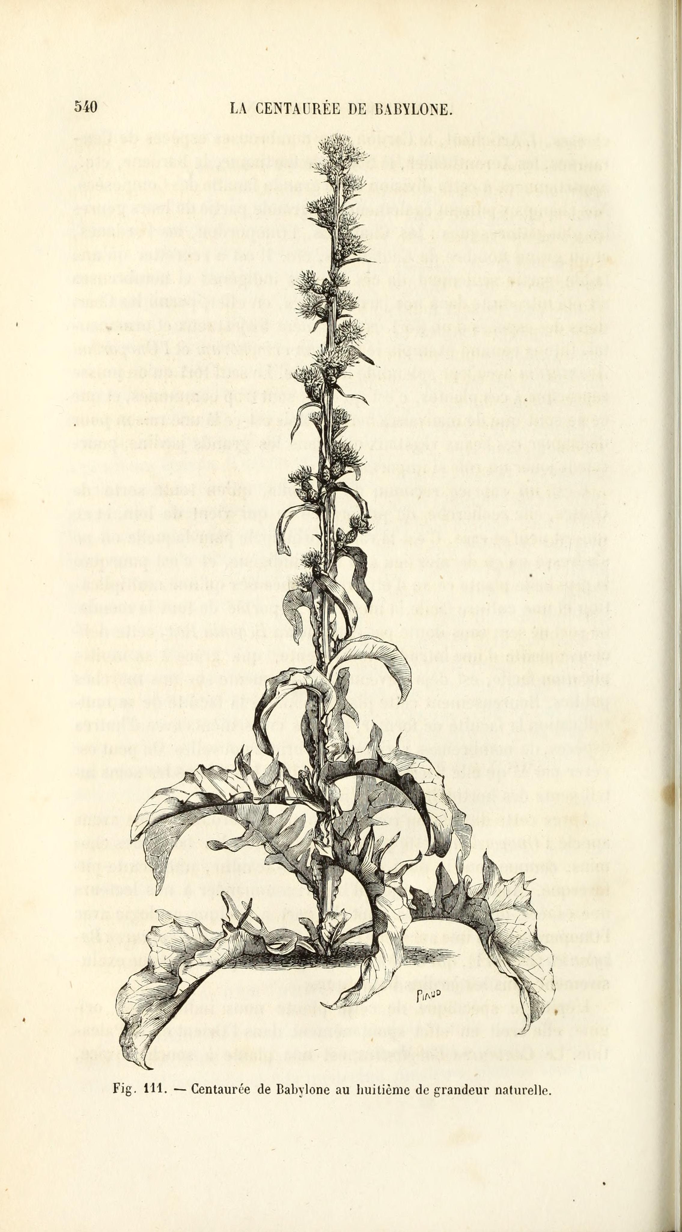 no full size  illustration available (3a)