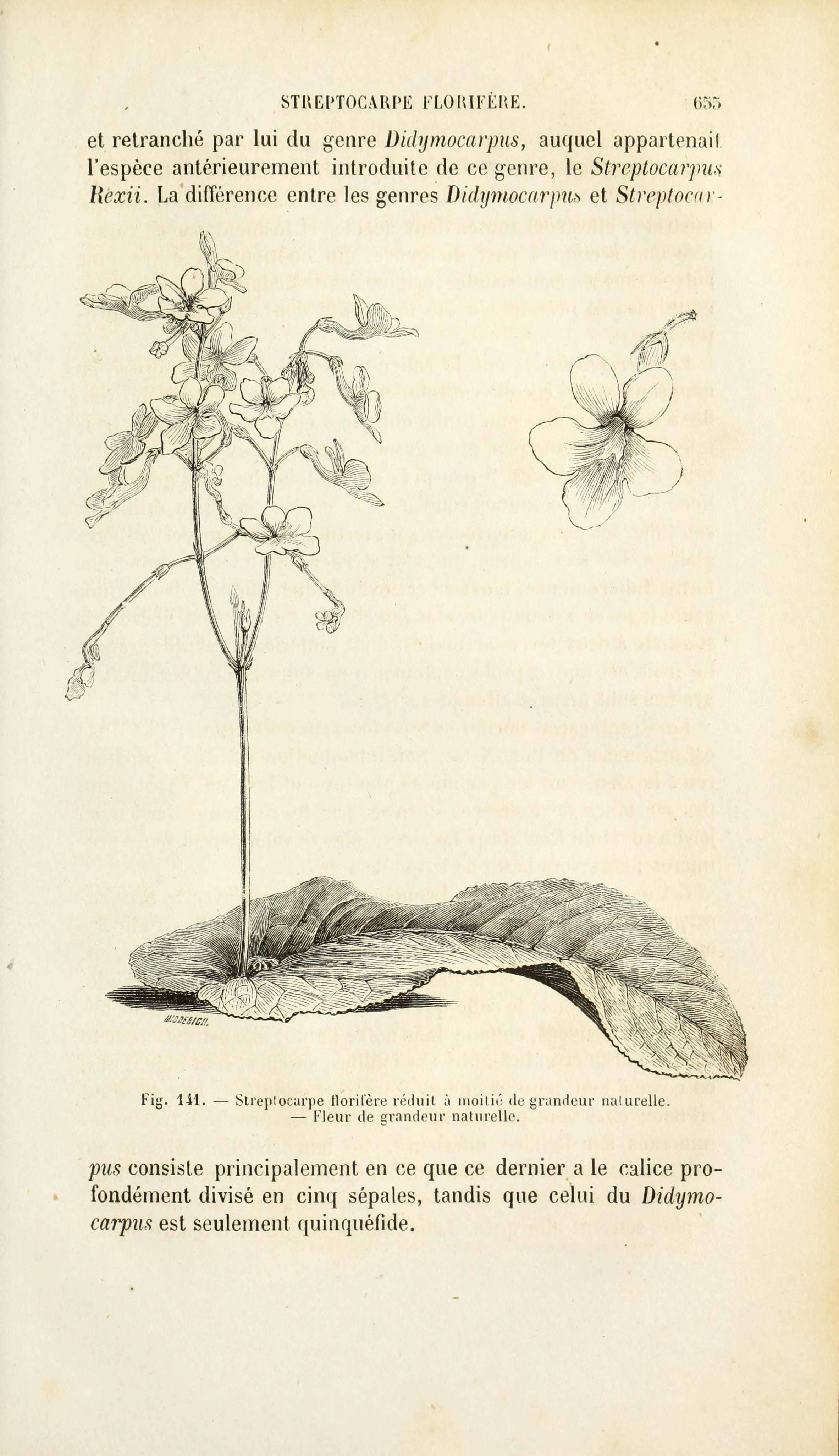 no full size  illustration available (3a)