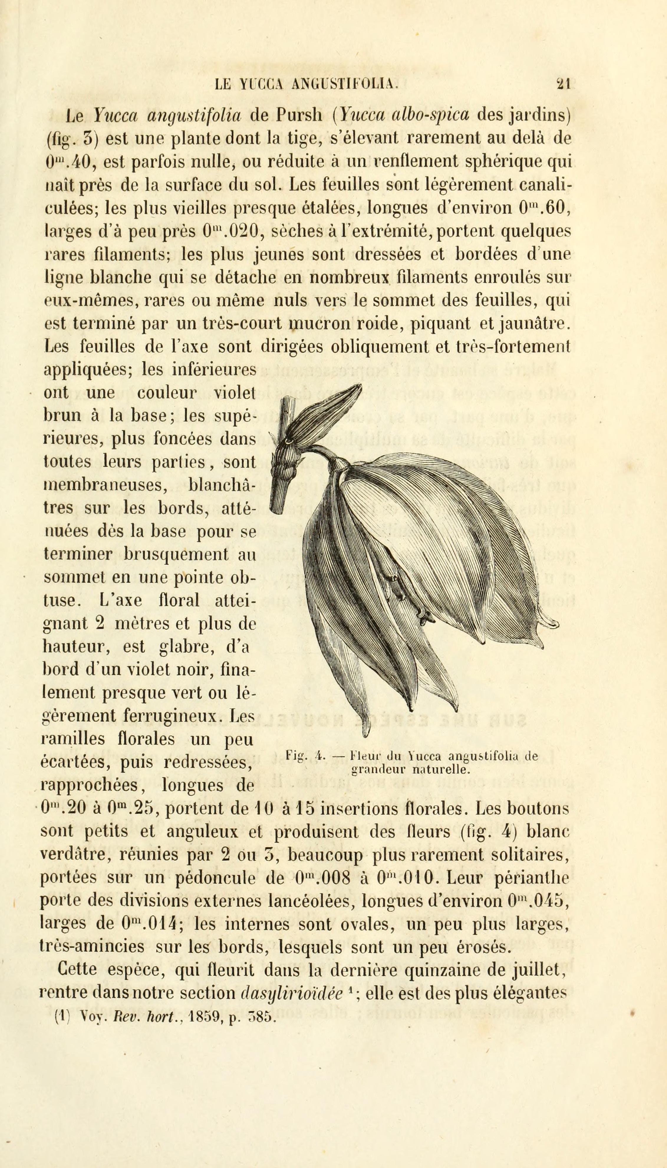 no full size  illustration available (3a)