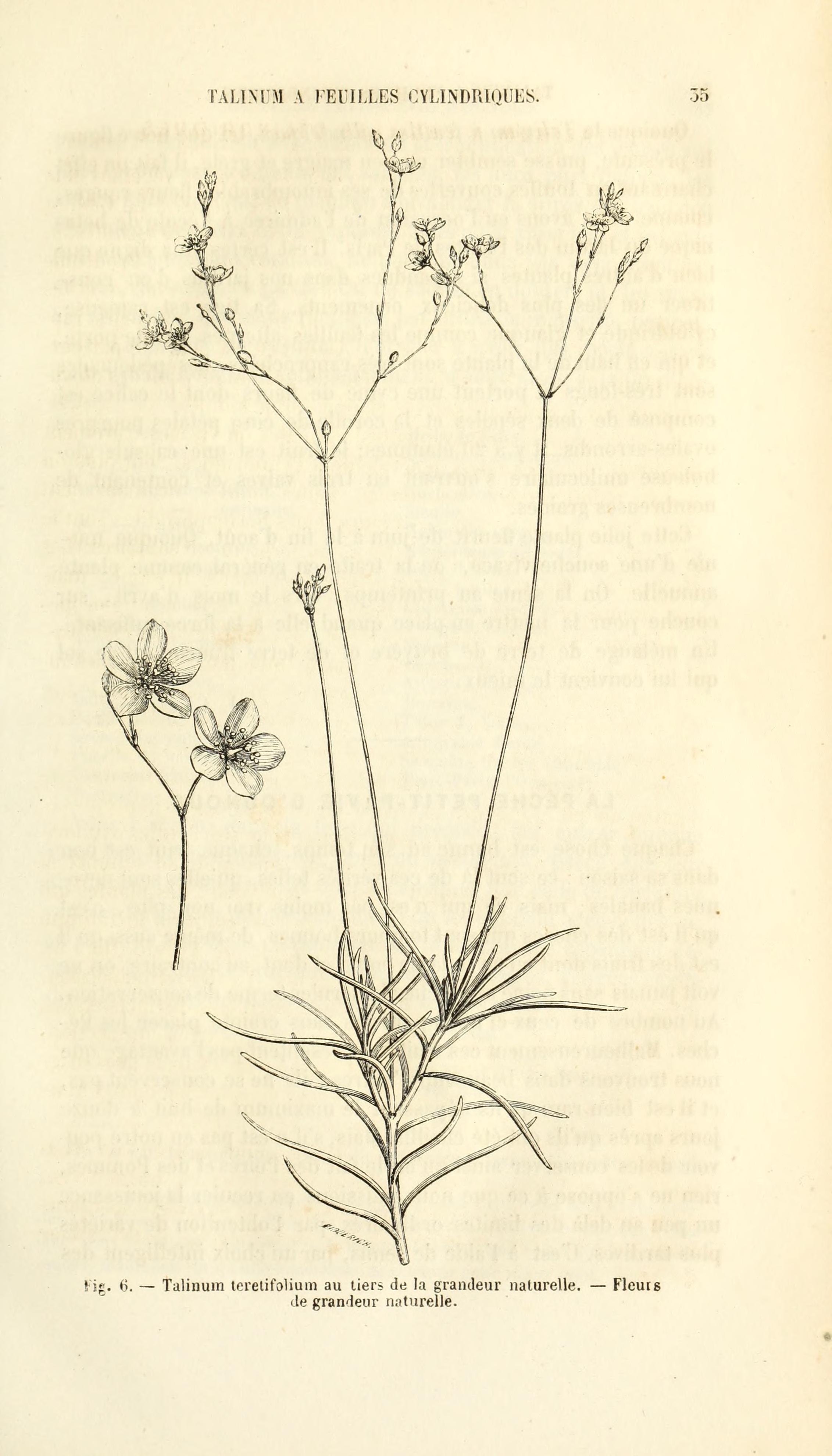 no full size  illustration available (3a)