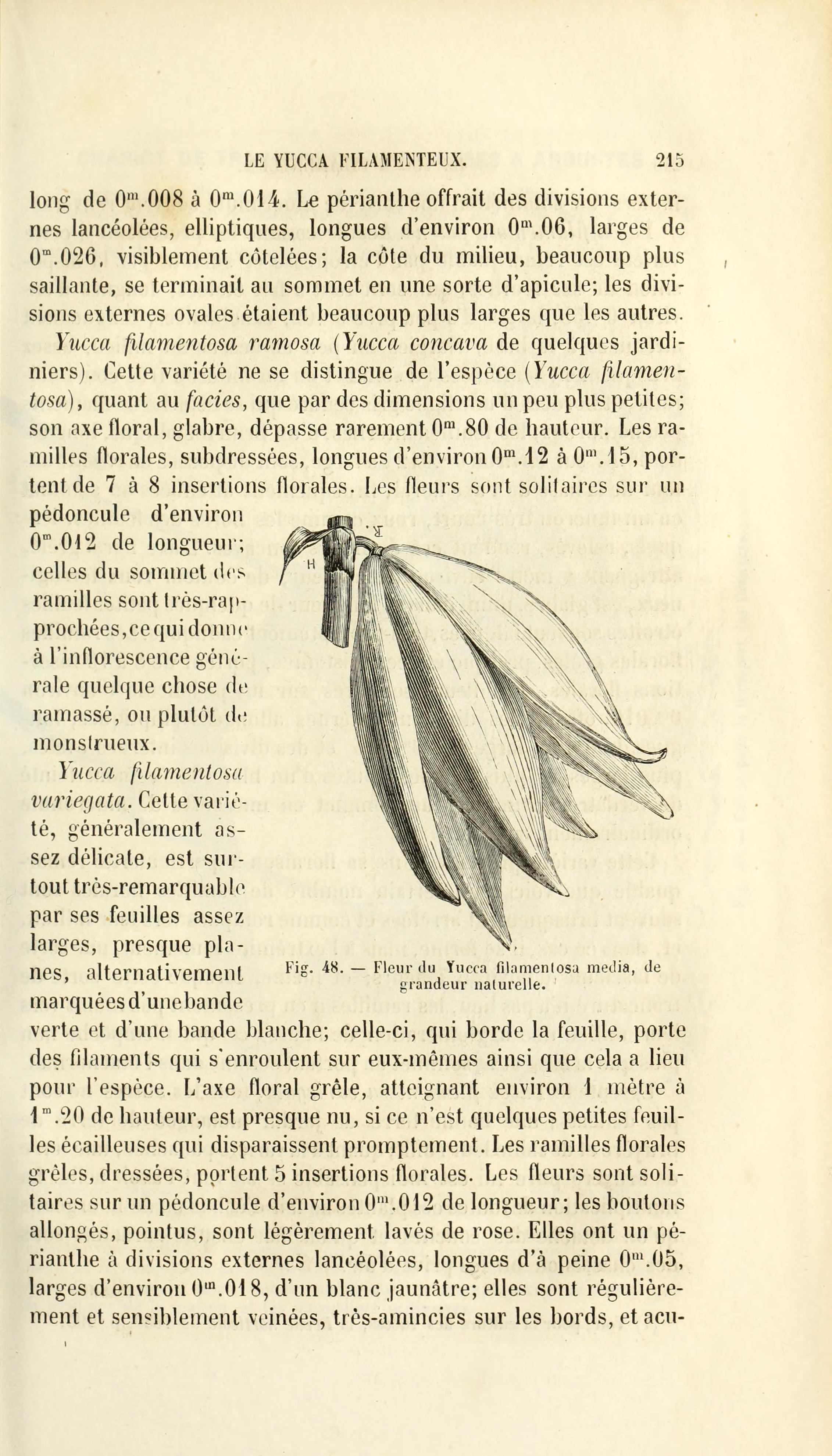 no full size  illustration available (3a)