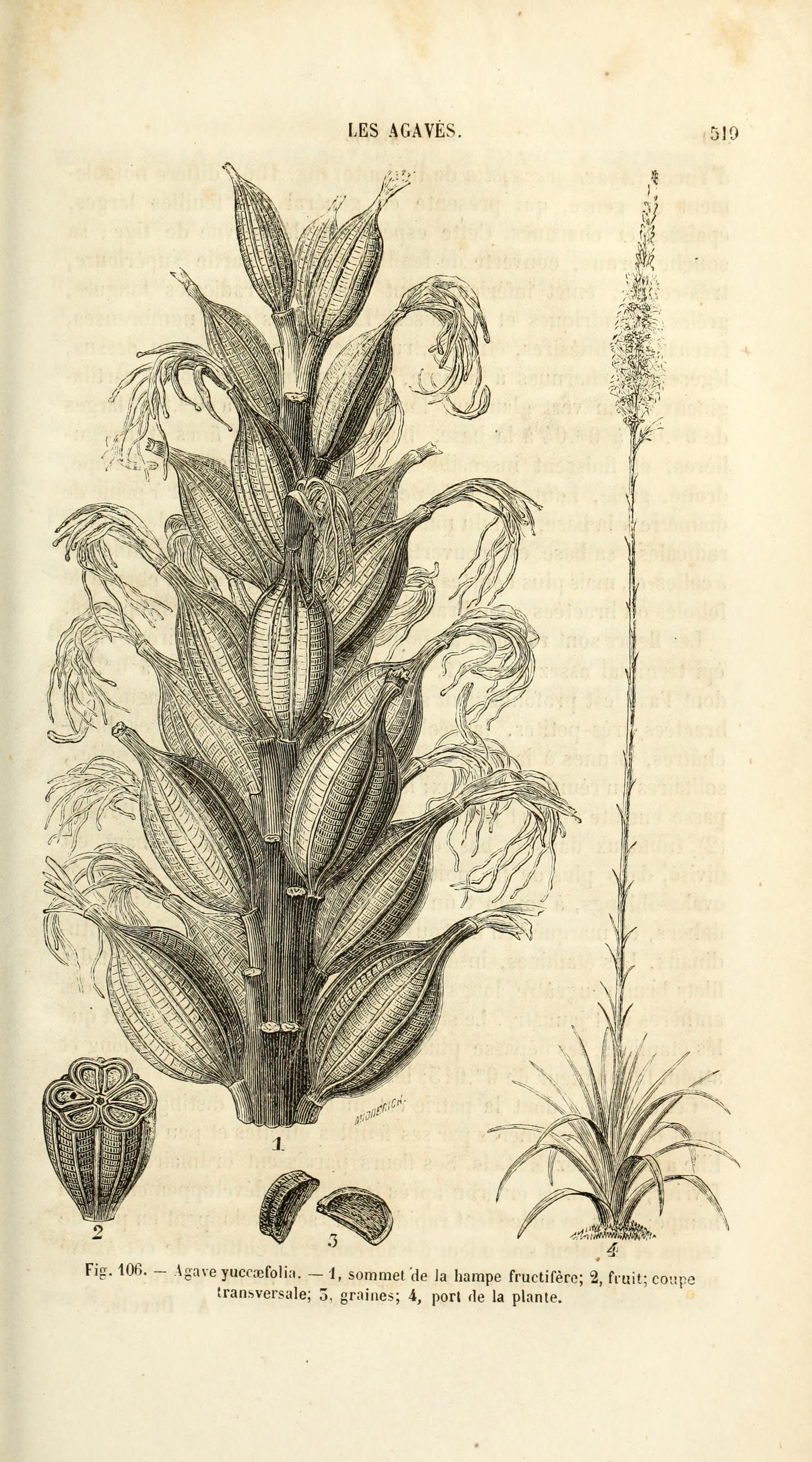 no full size  illustration available (3a)