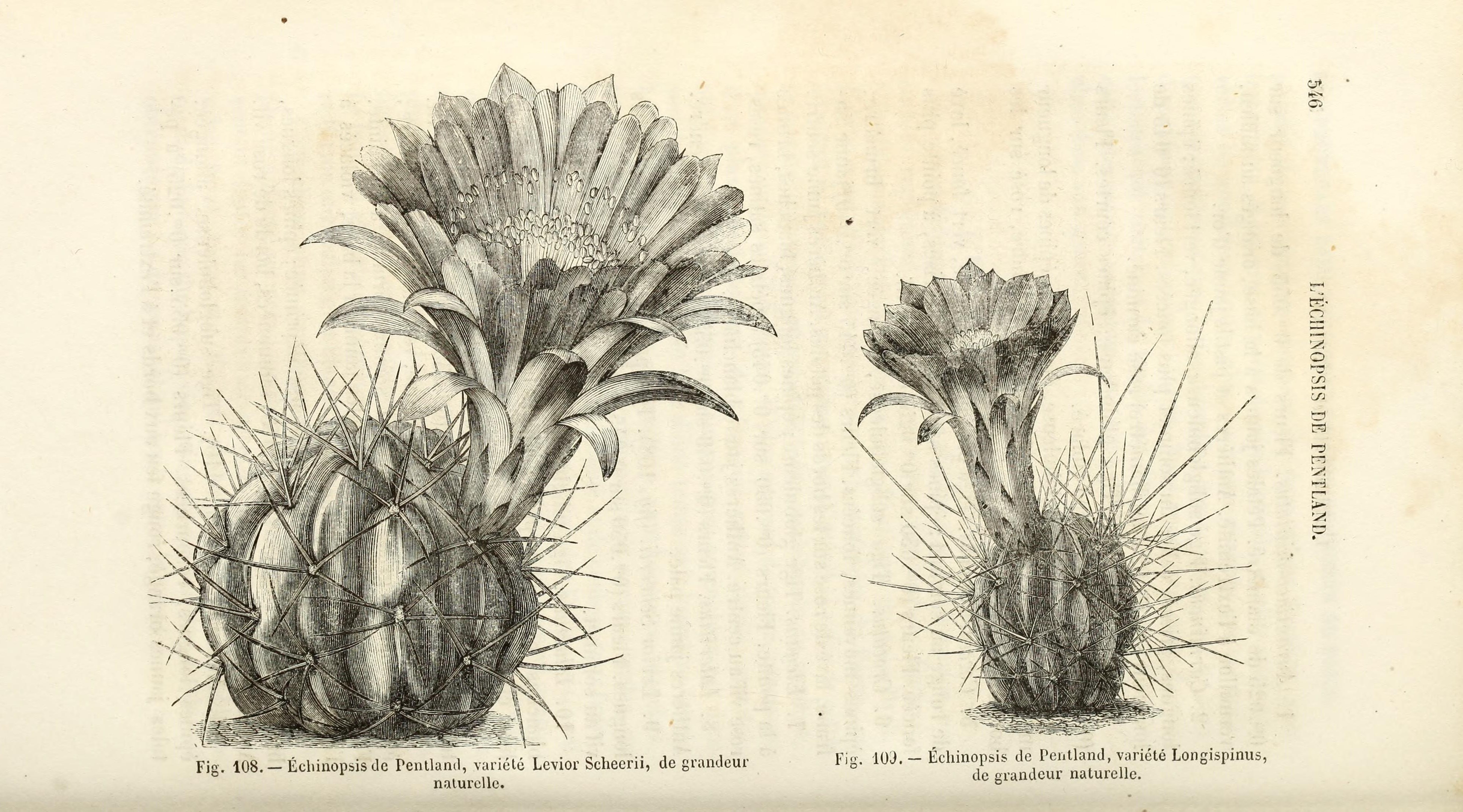 no full size  illustration available (3a)