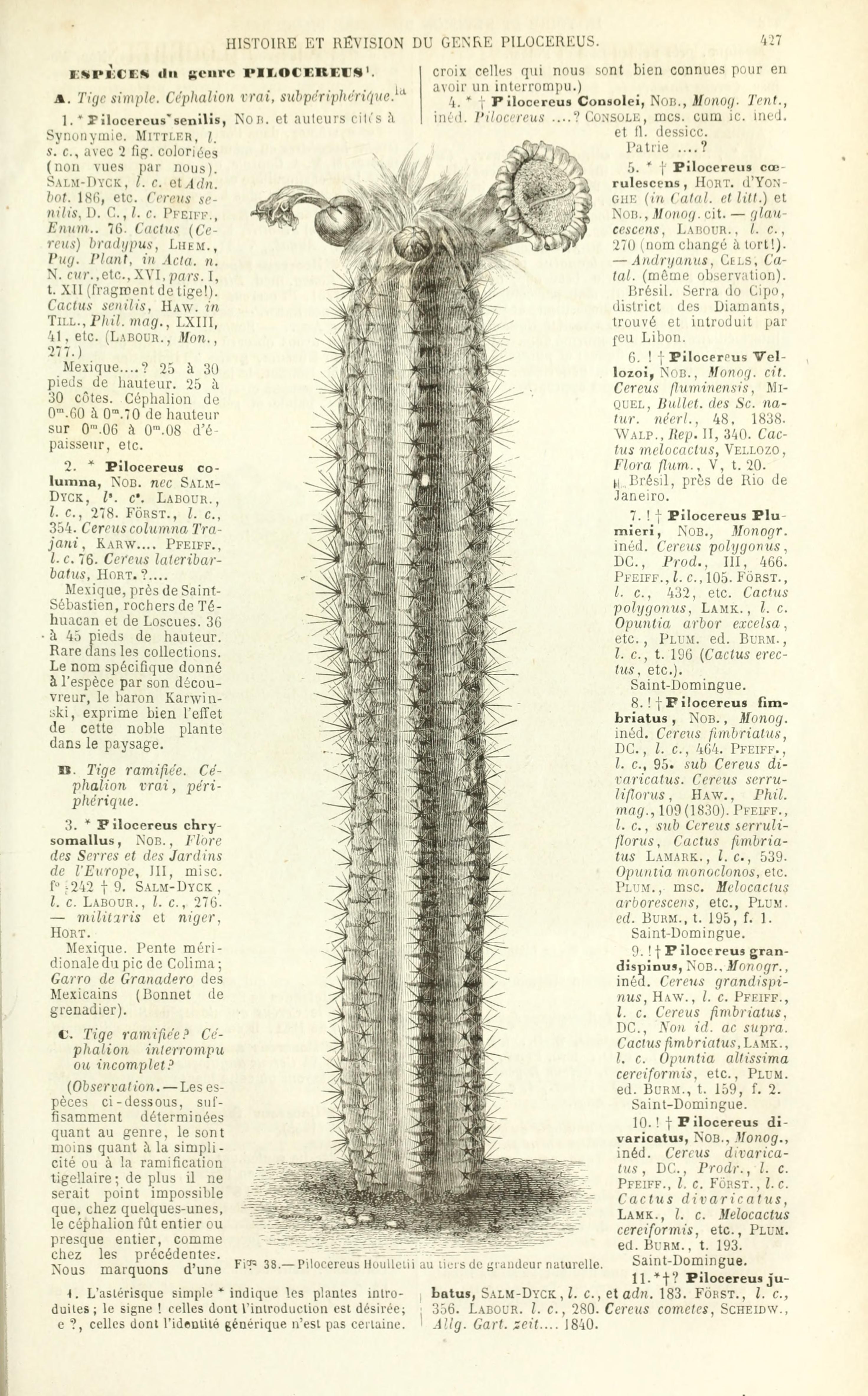 no full size  illustration available (3a)