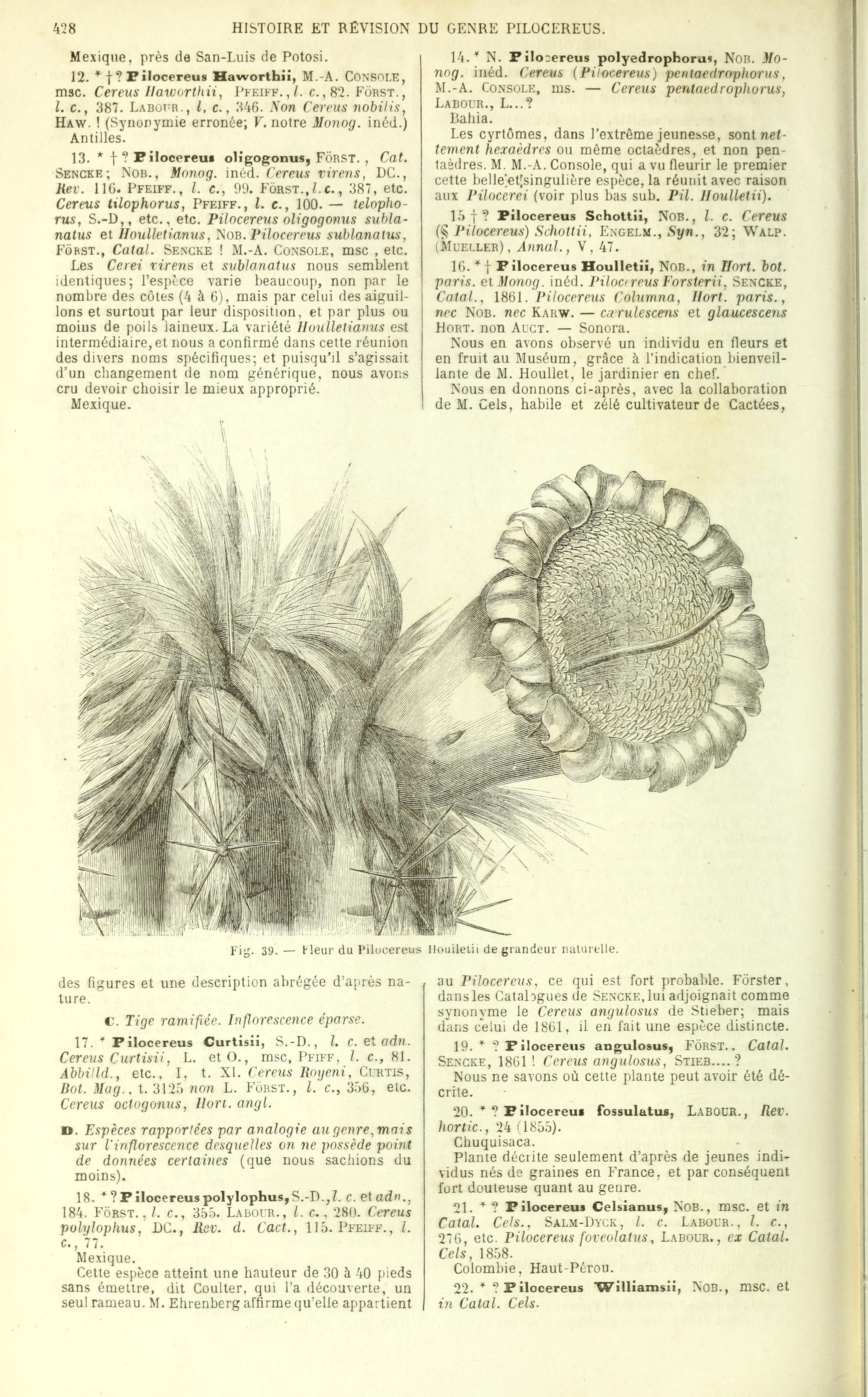 no full size  illustration available (3a)