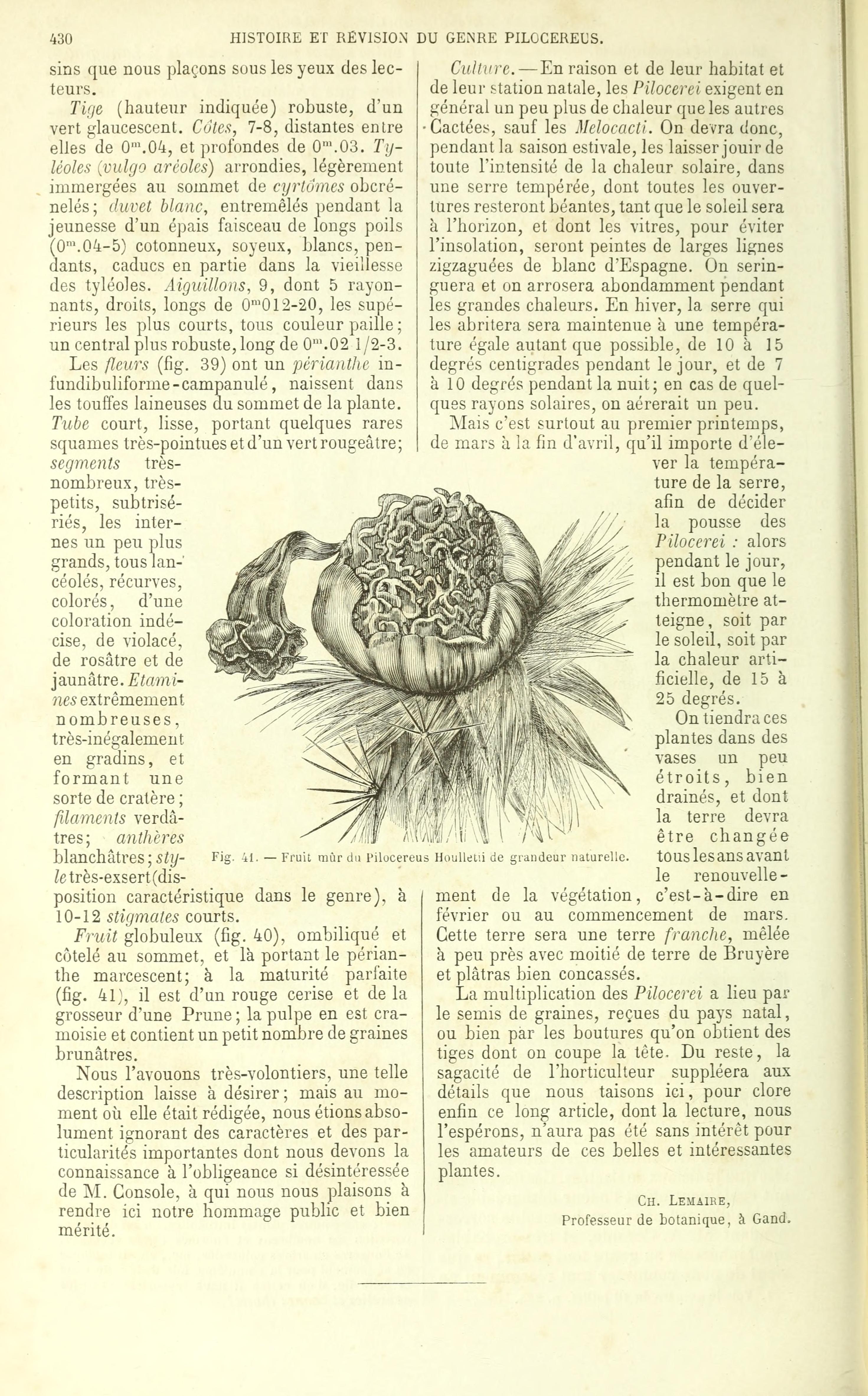 no full size  illustration available (3a)