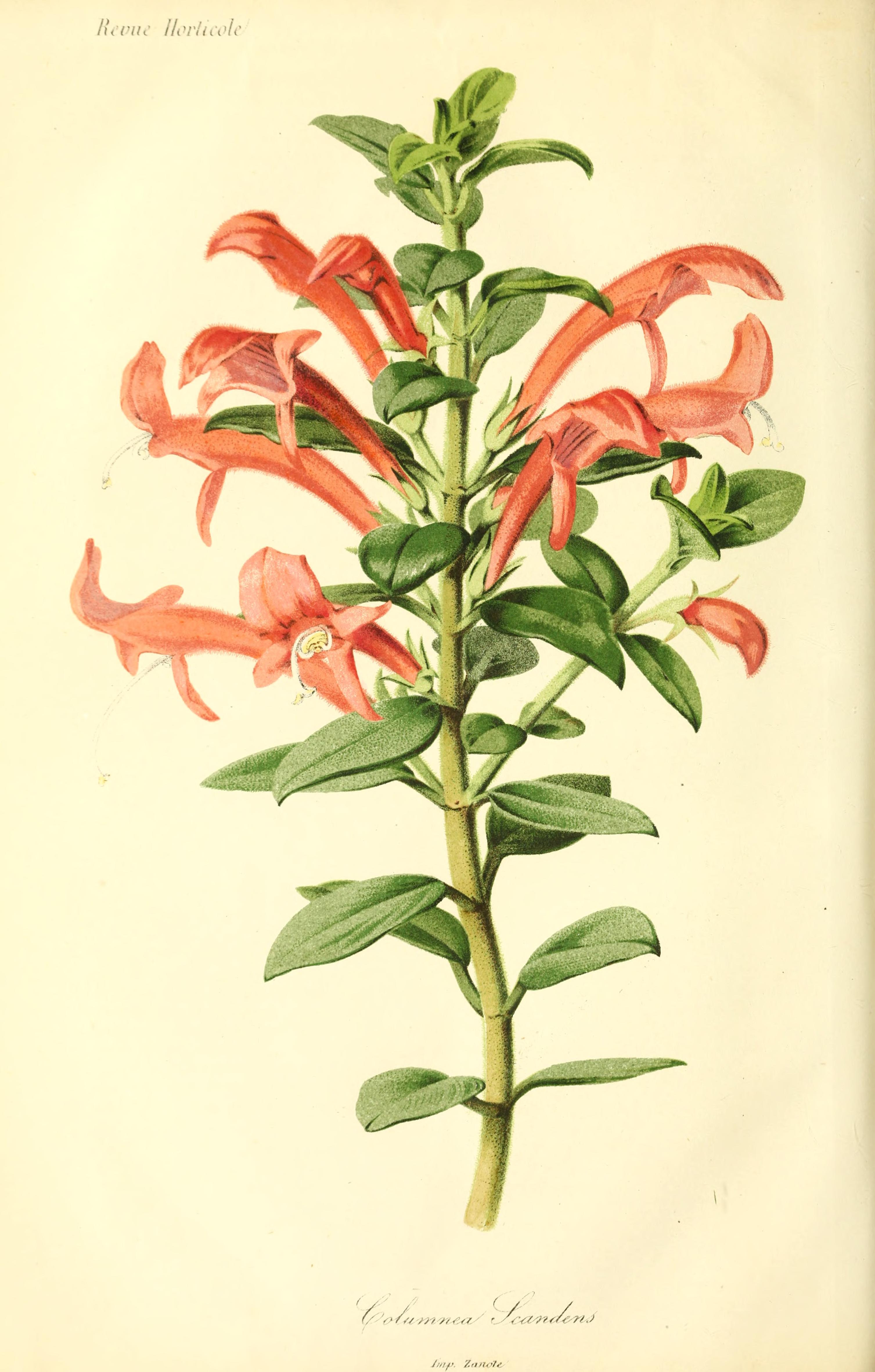 no full size  illustration available (3a)