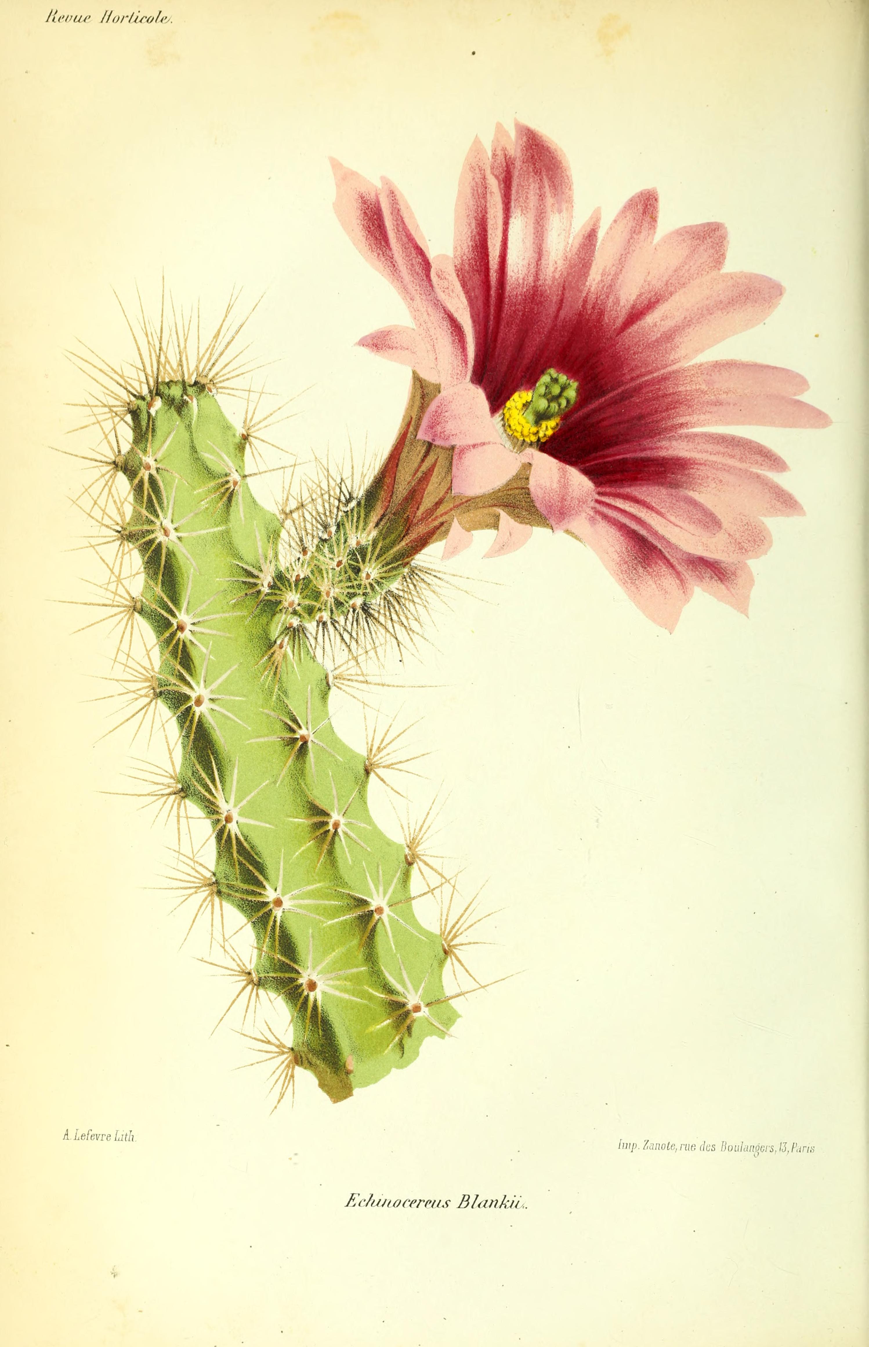 no full size  illustration available (3a)