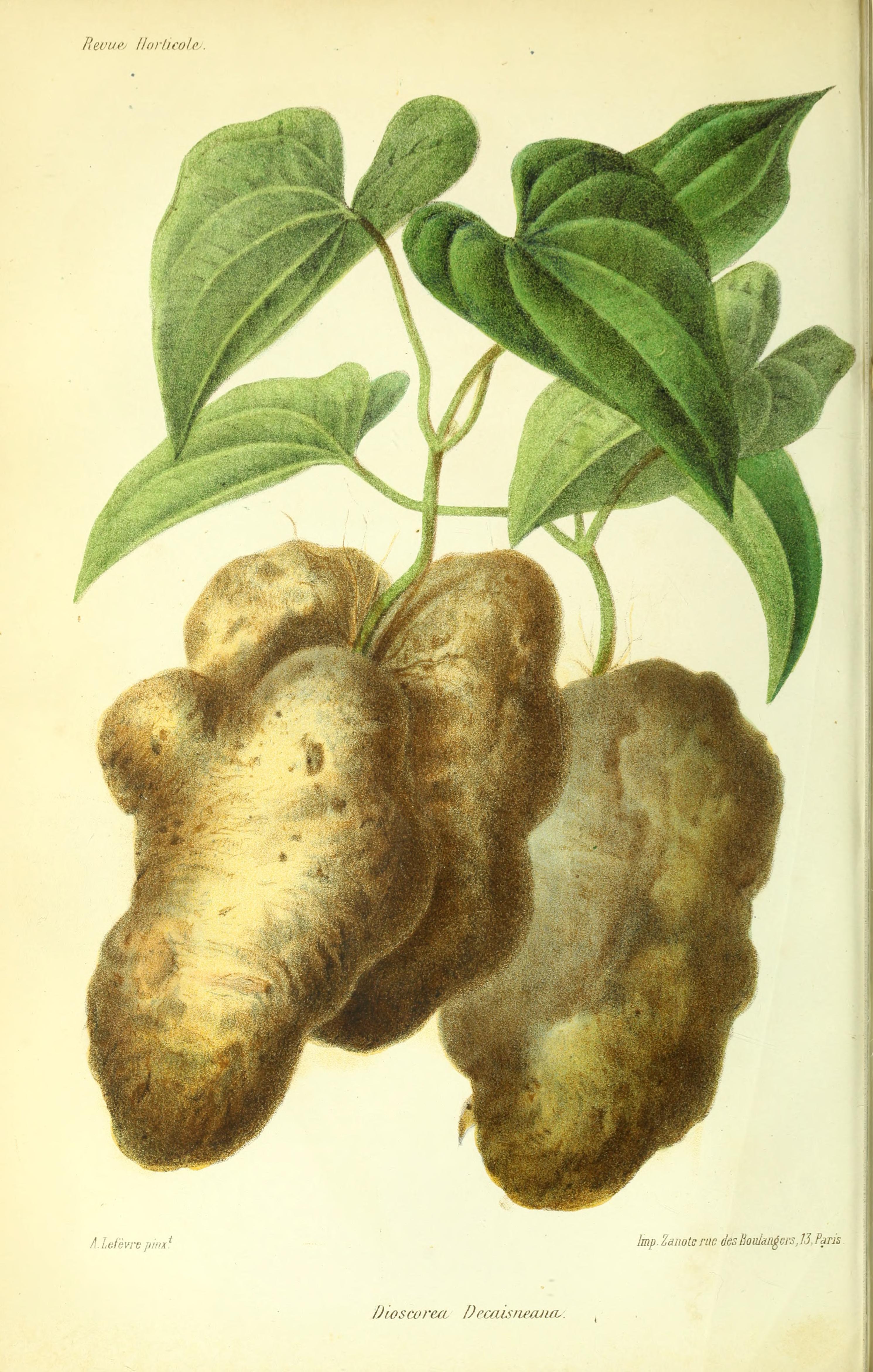 no full size  illustration available (3a)