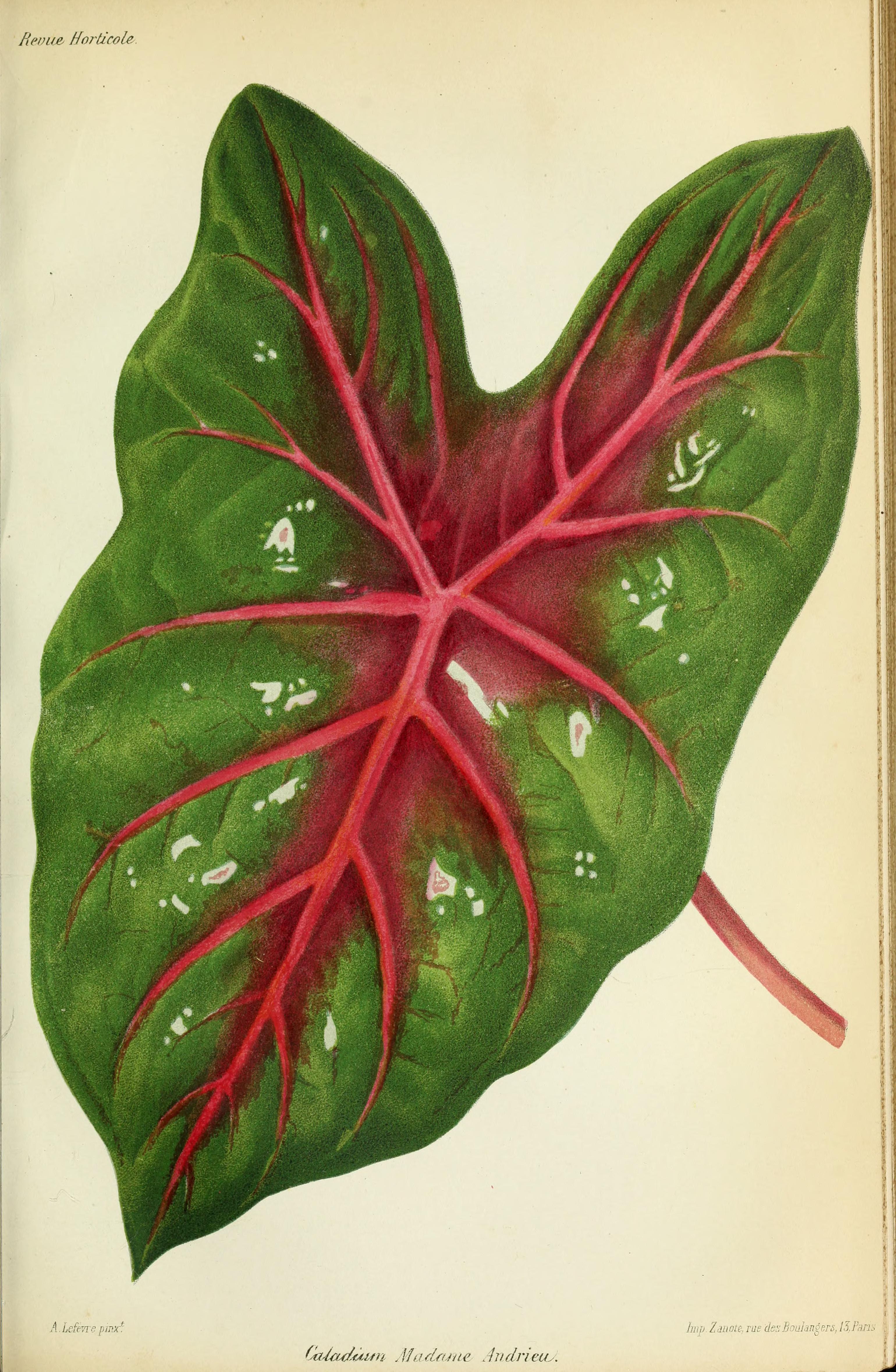 no full size  illustration available (3a)