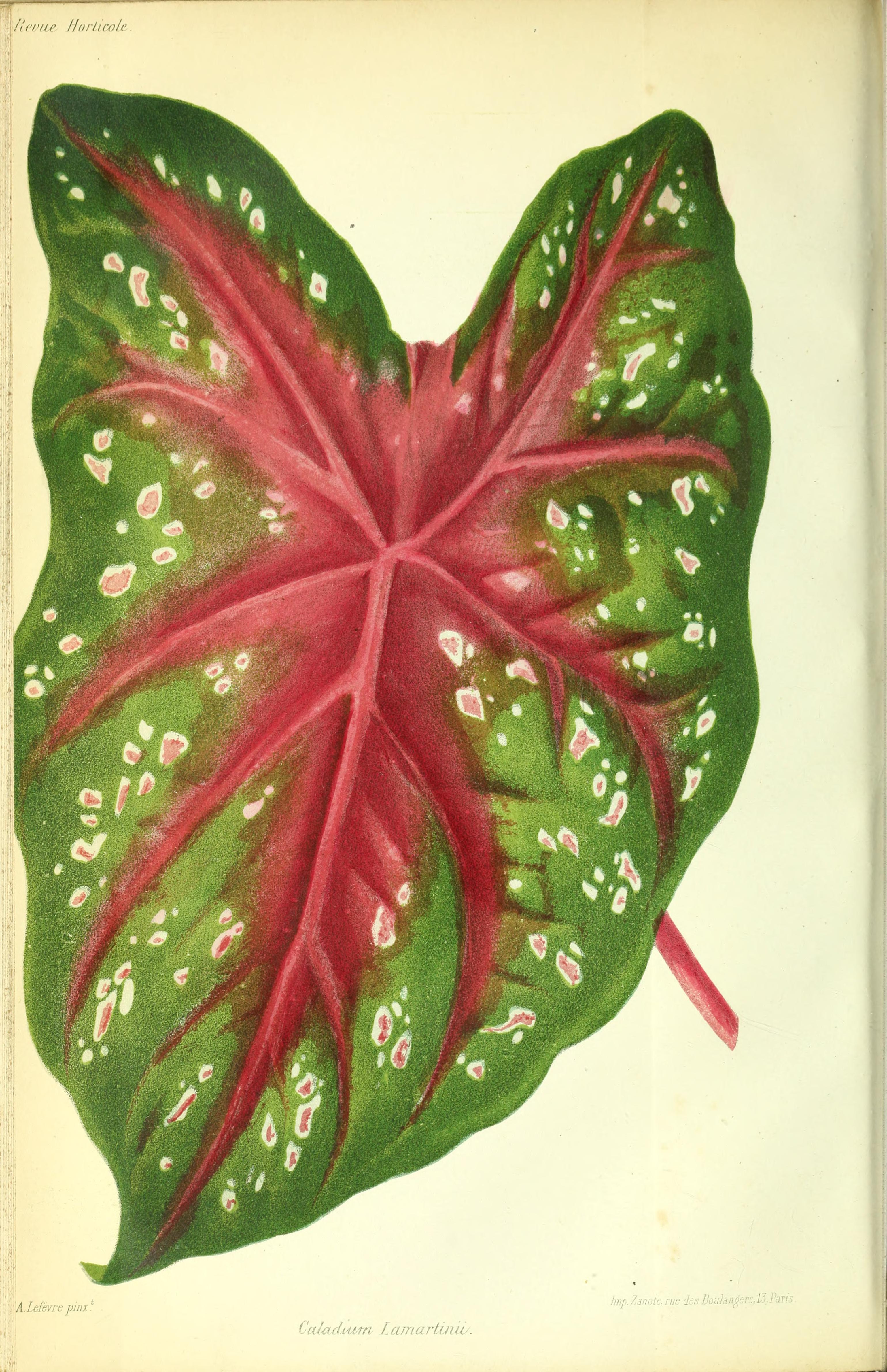 no full size  illustration available (3a)