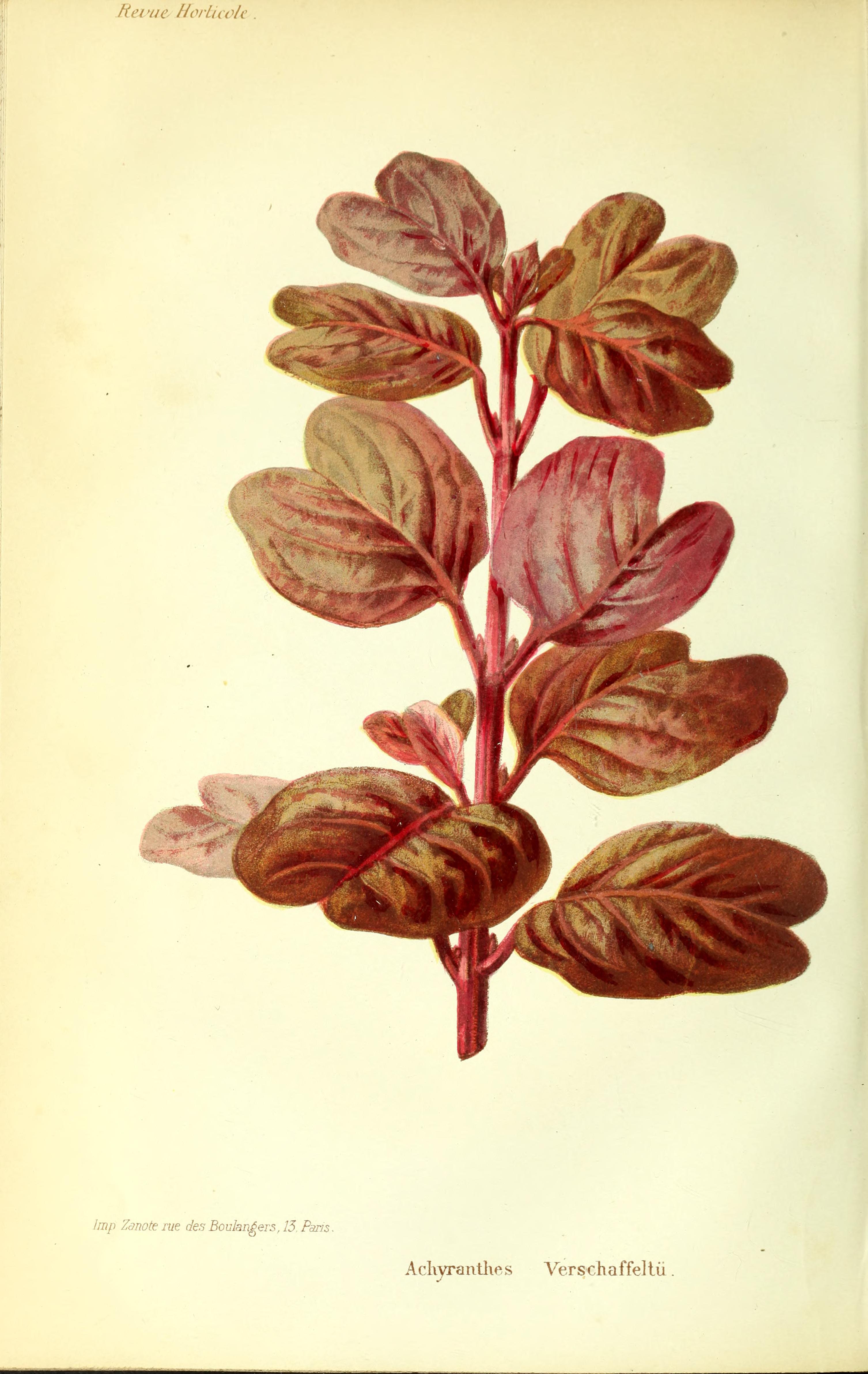 no full size  illustration available (3a)