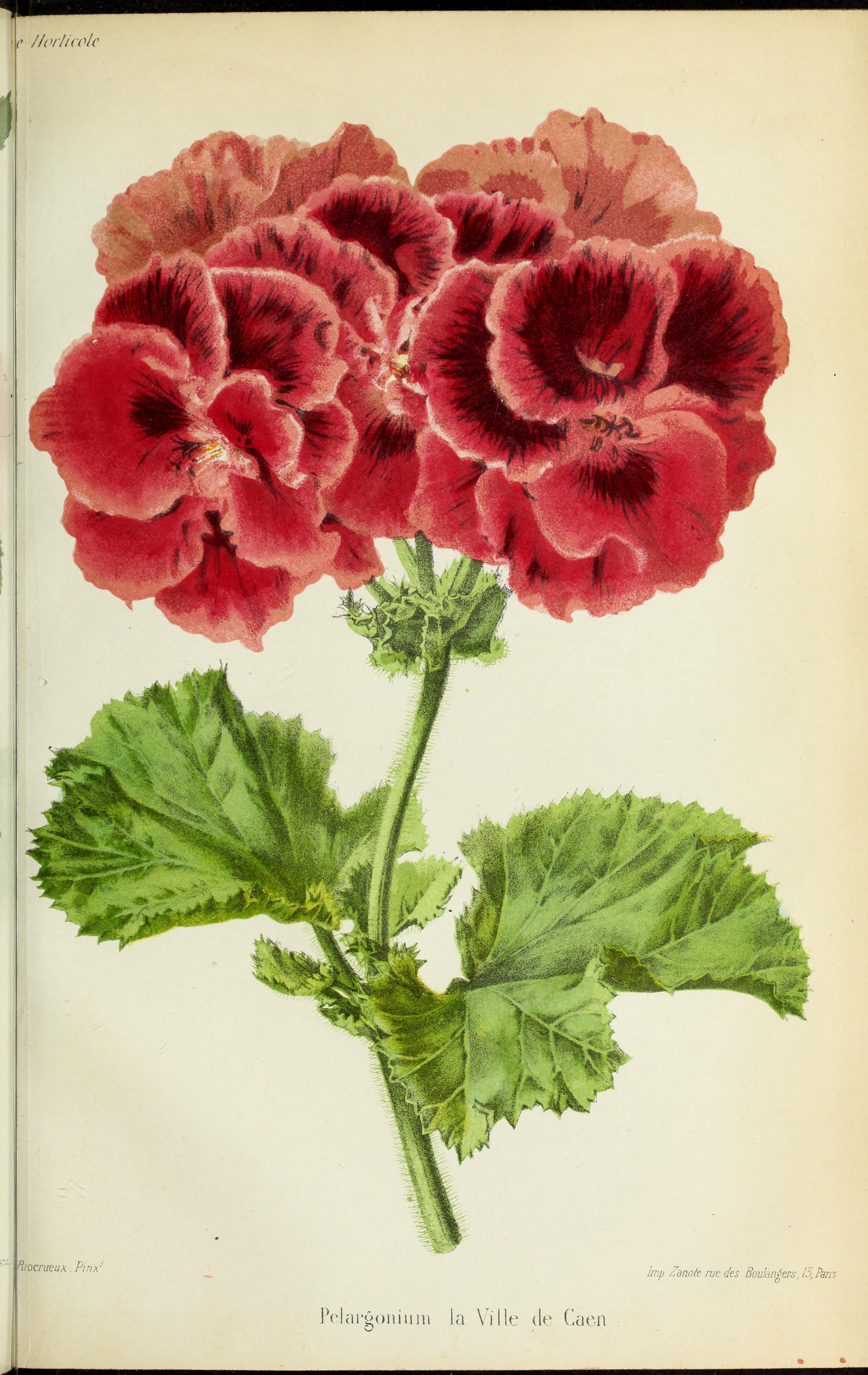 no full size  illustration available (3a)