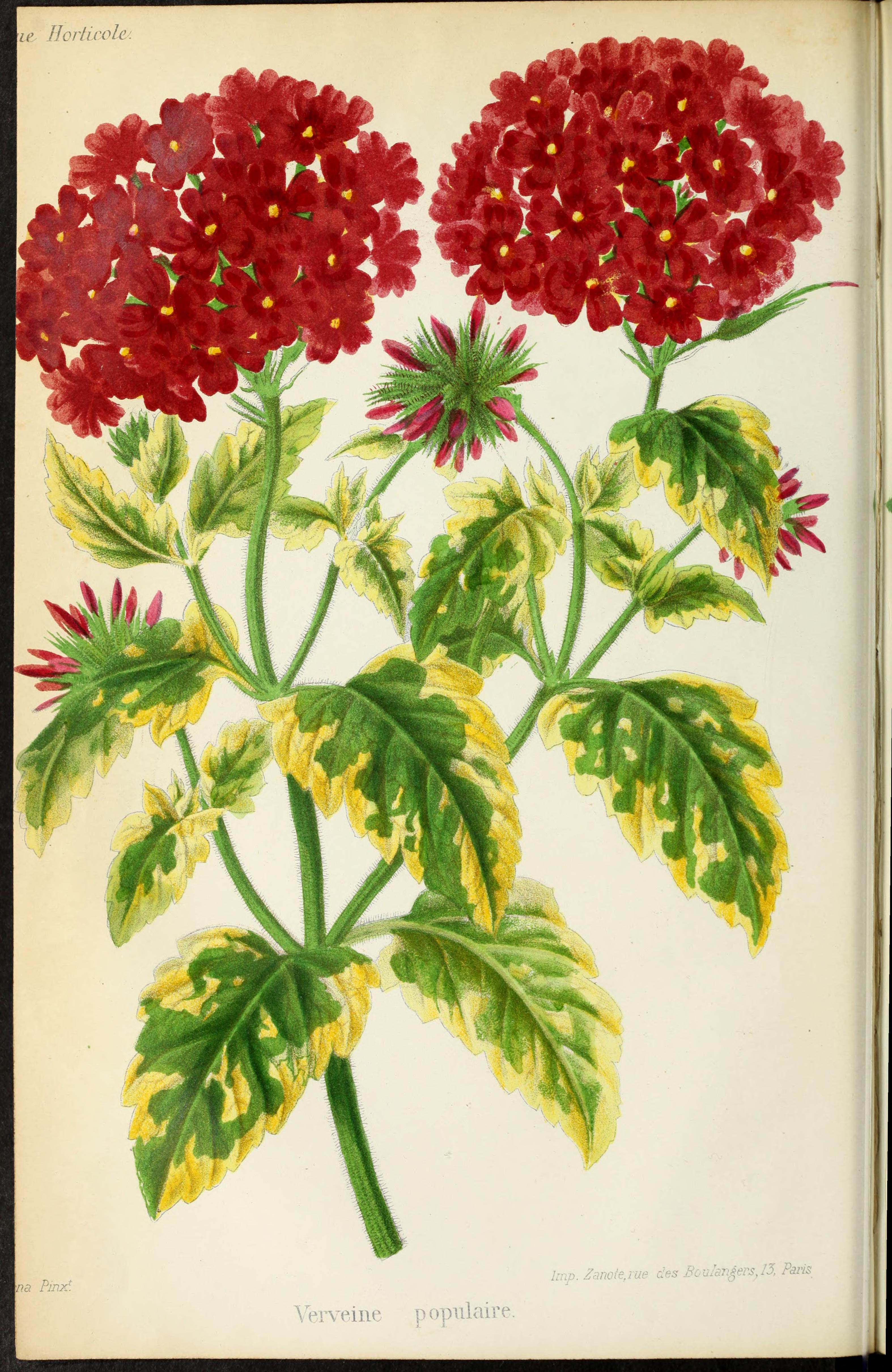 no full size  illustration available (3a)