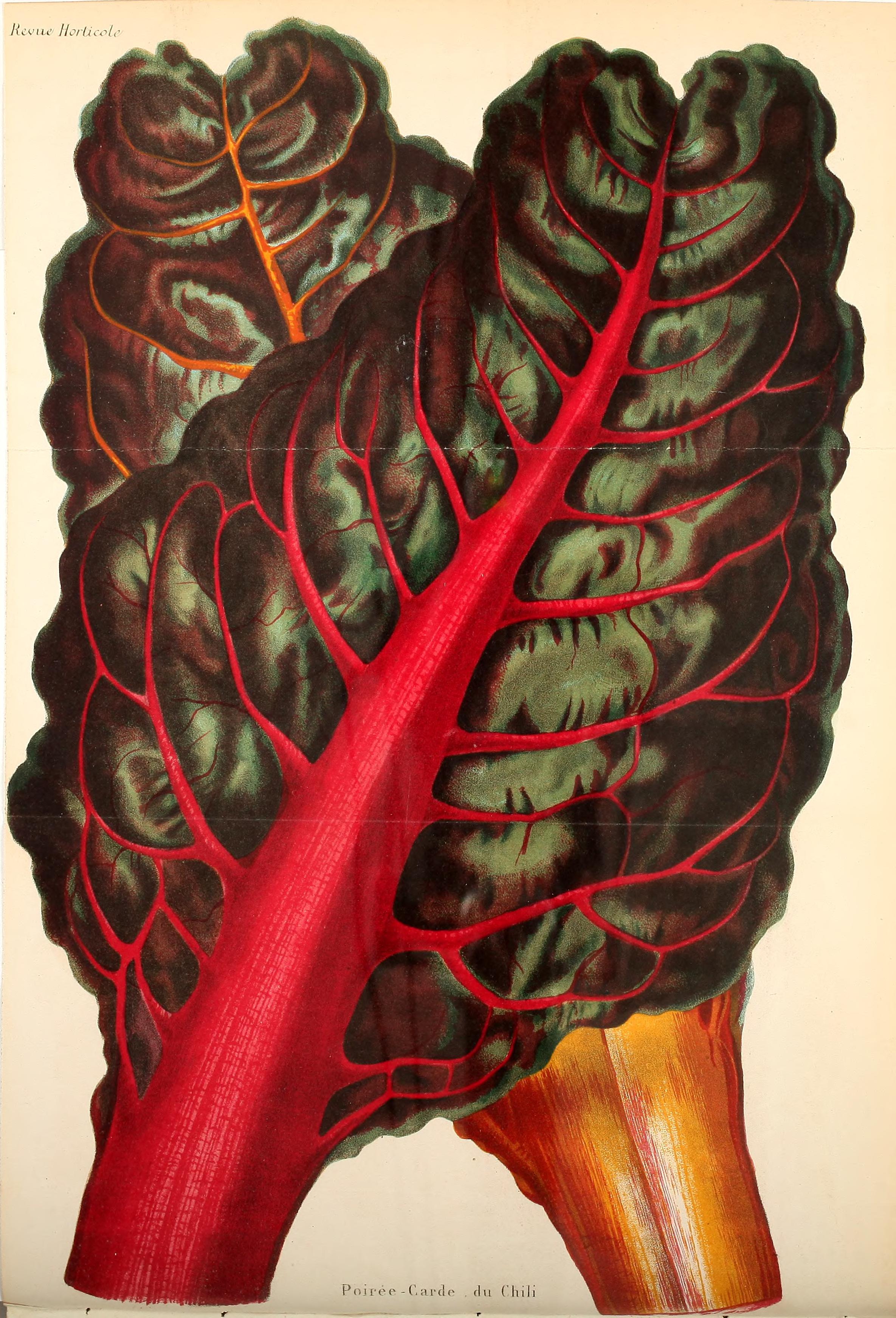 no full size  illustration available (3a)