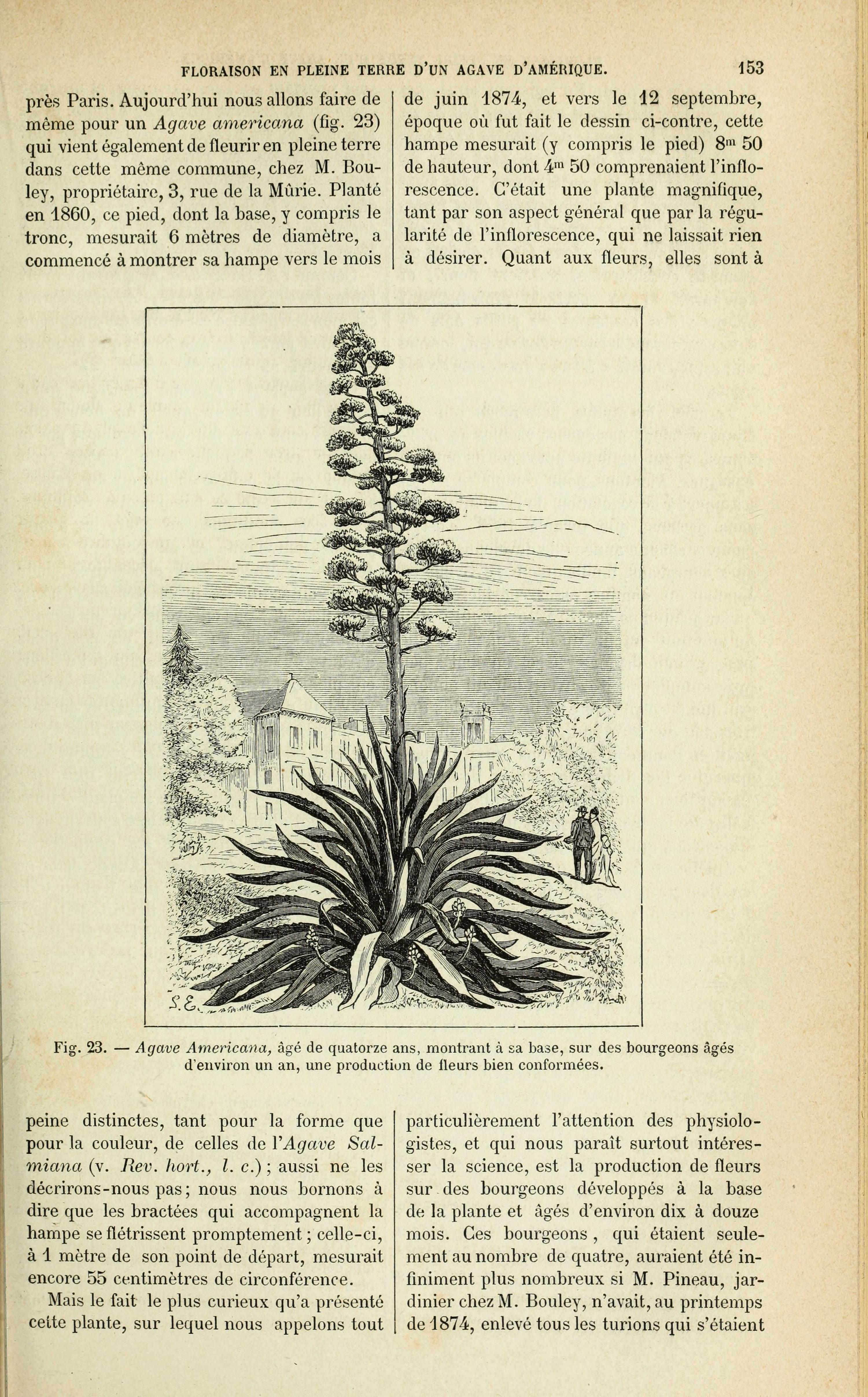 no full size  illustration available (3a)