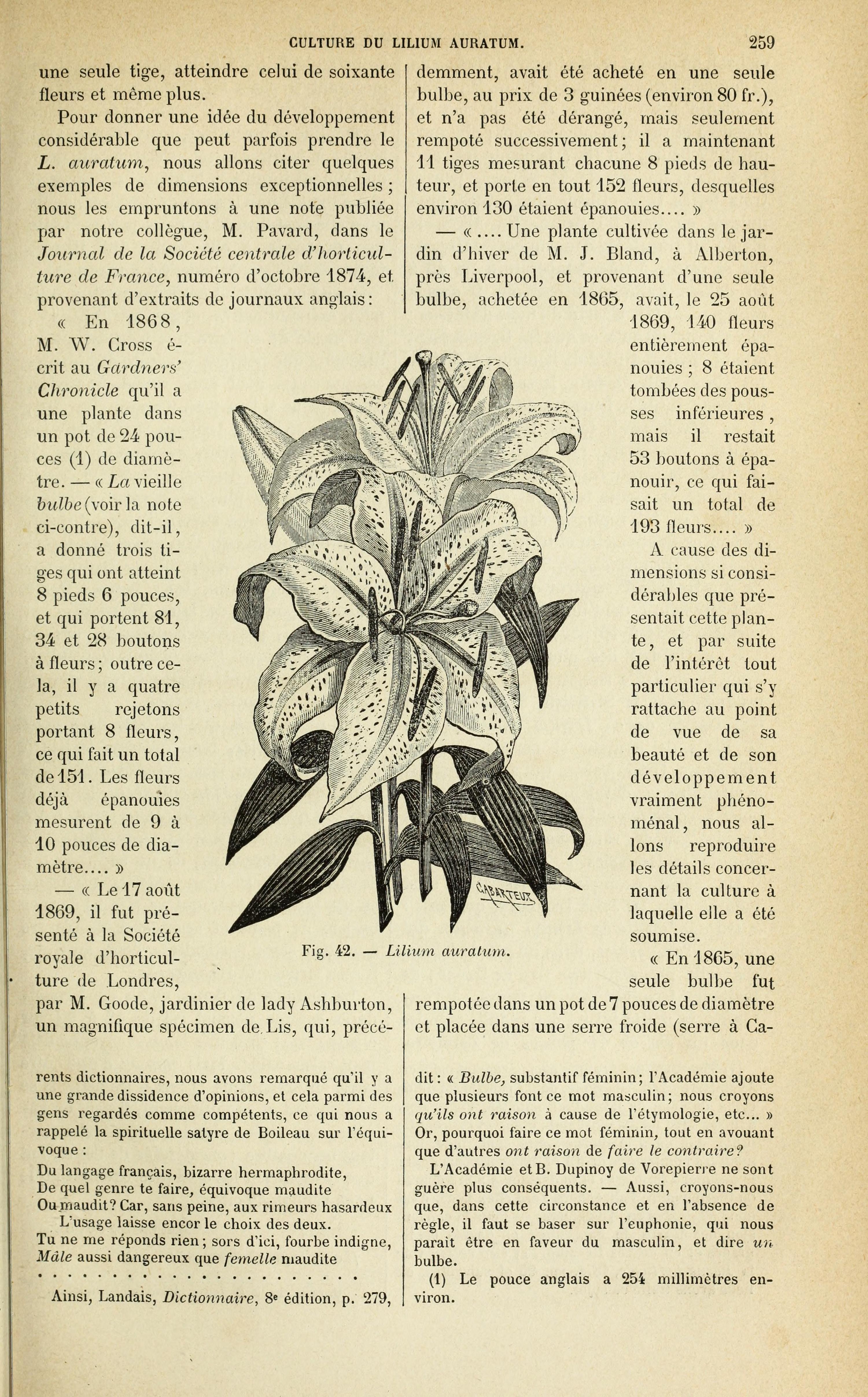 no full size  illustration available (3a)