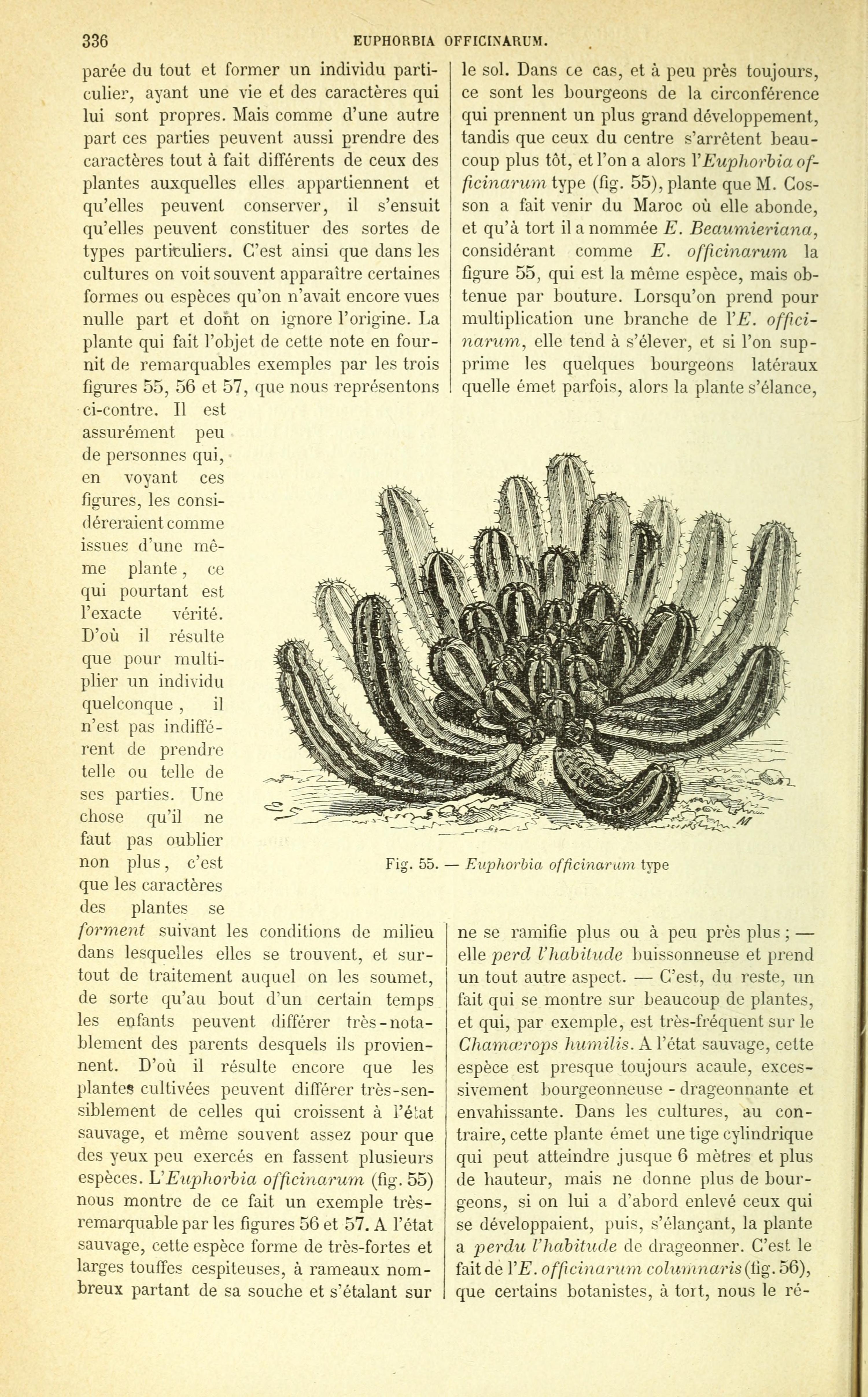 no full size  illustration available (3a)